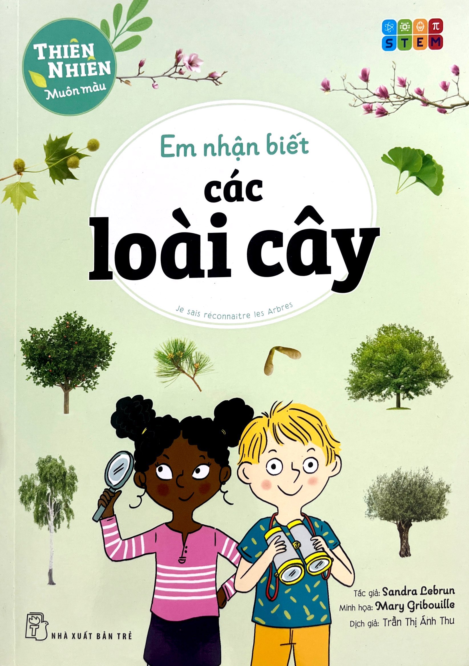 thiên nhiên muôn màu - stem - em nhận biết các loài cây - Ảnh 3