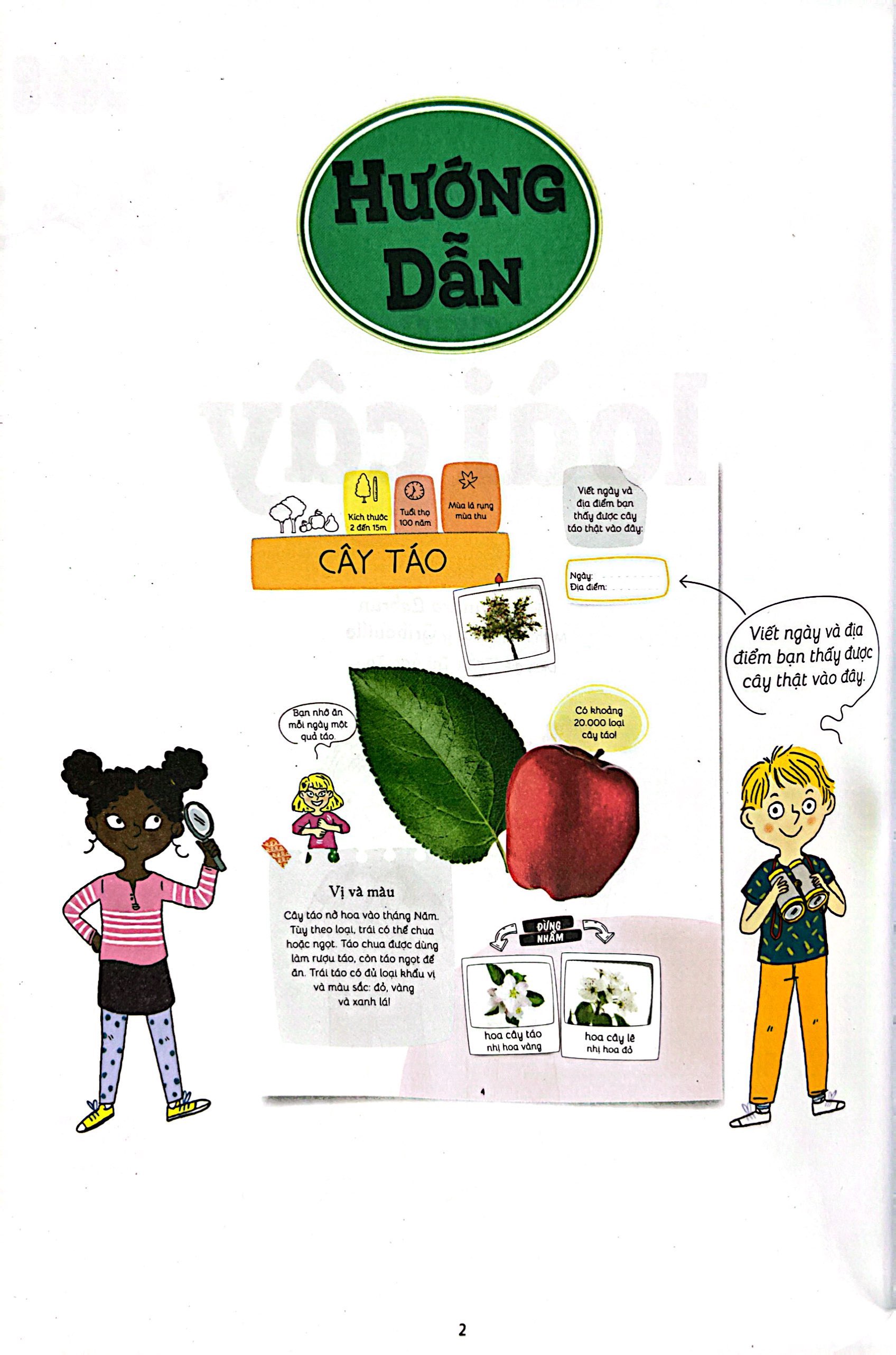 thiên nhiên muôn màu - stem - em nhận biết các loài cây - Ảnh 4