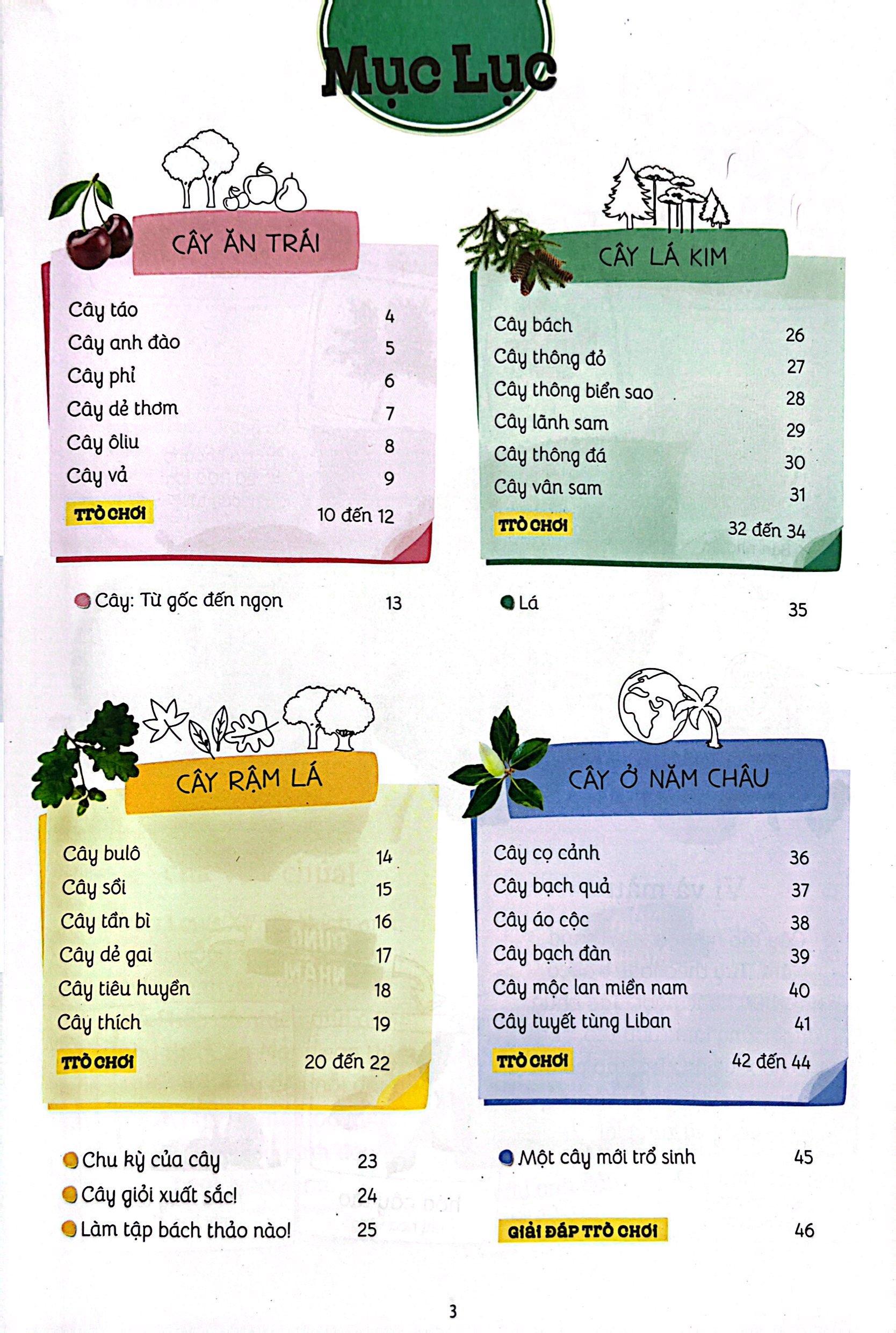 thiên nhiên muôn màu - stem - em nhận biết các loài cây - Ảnh 5