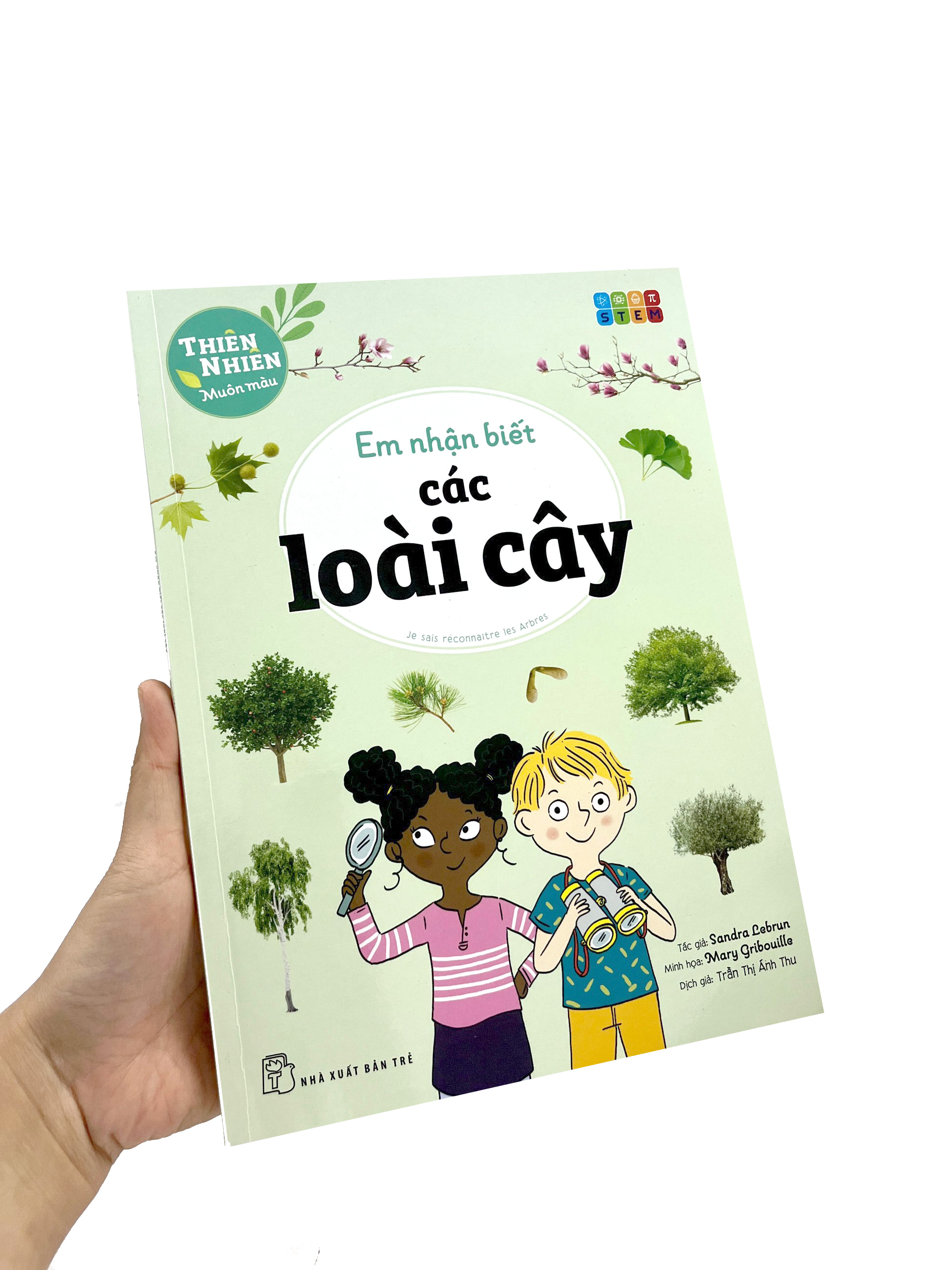 thiên nhiên muôn màu - stem - em nhận biết các loài cây - Ảnh 9