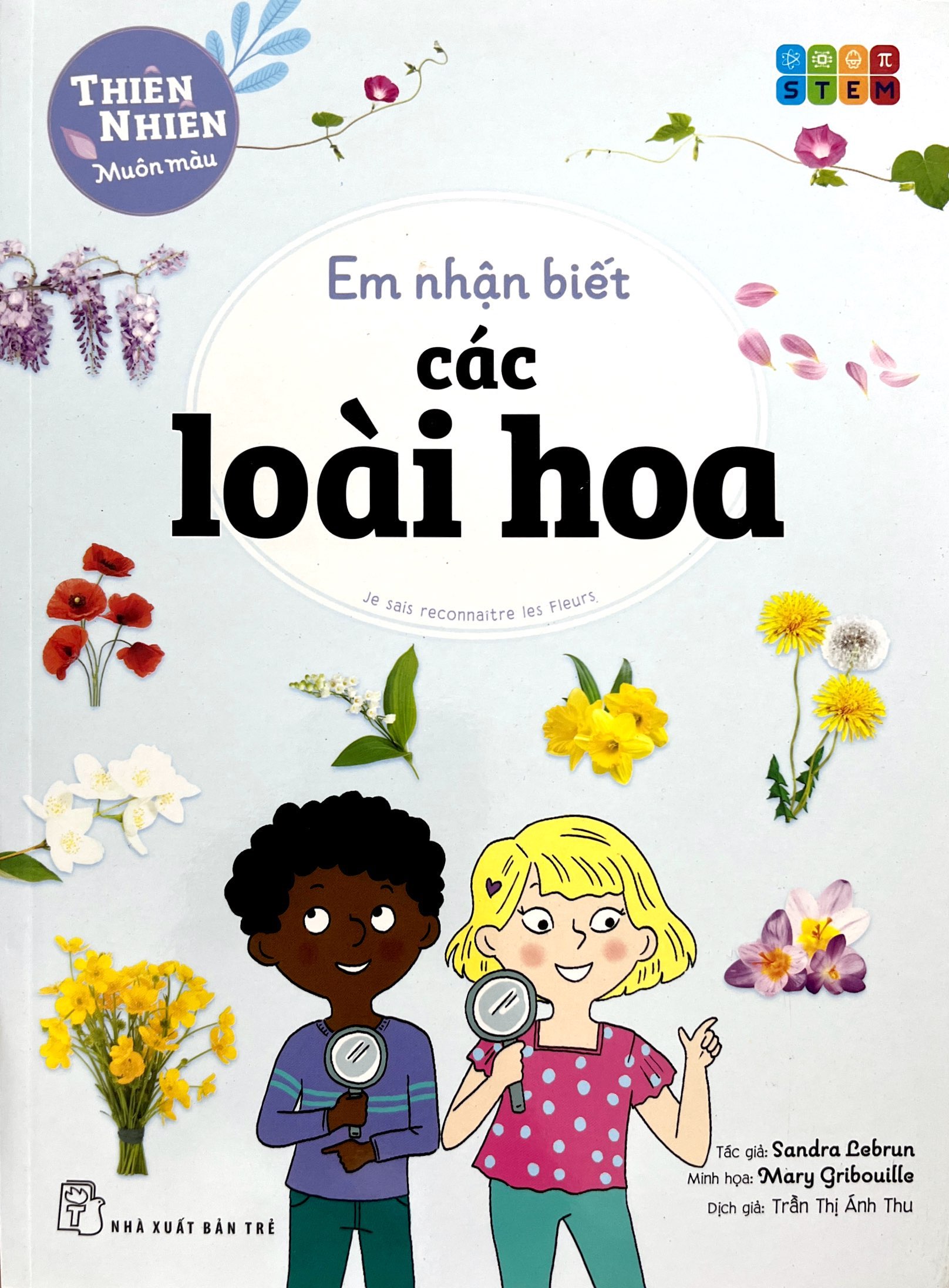 thiên nhiên muôn màu - stem - em nhận biết các loài hoa - Ảnh 3
