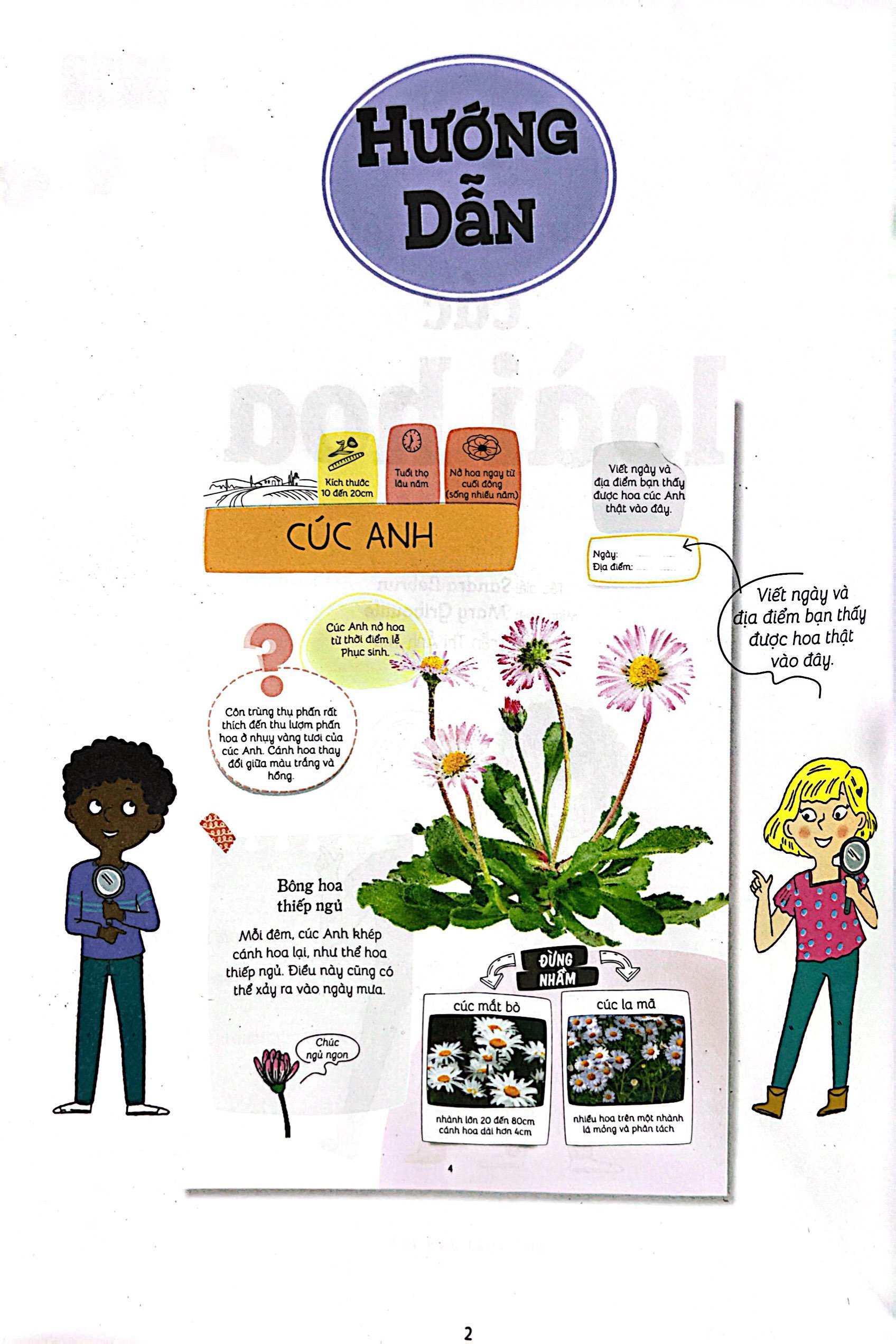 thiên nhiên muôn màu - stem - em nhận biết các loài hoa - Ảnh 4