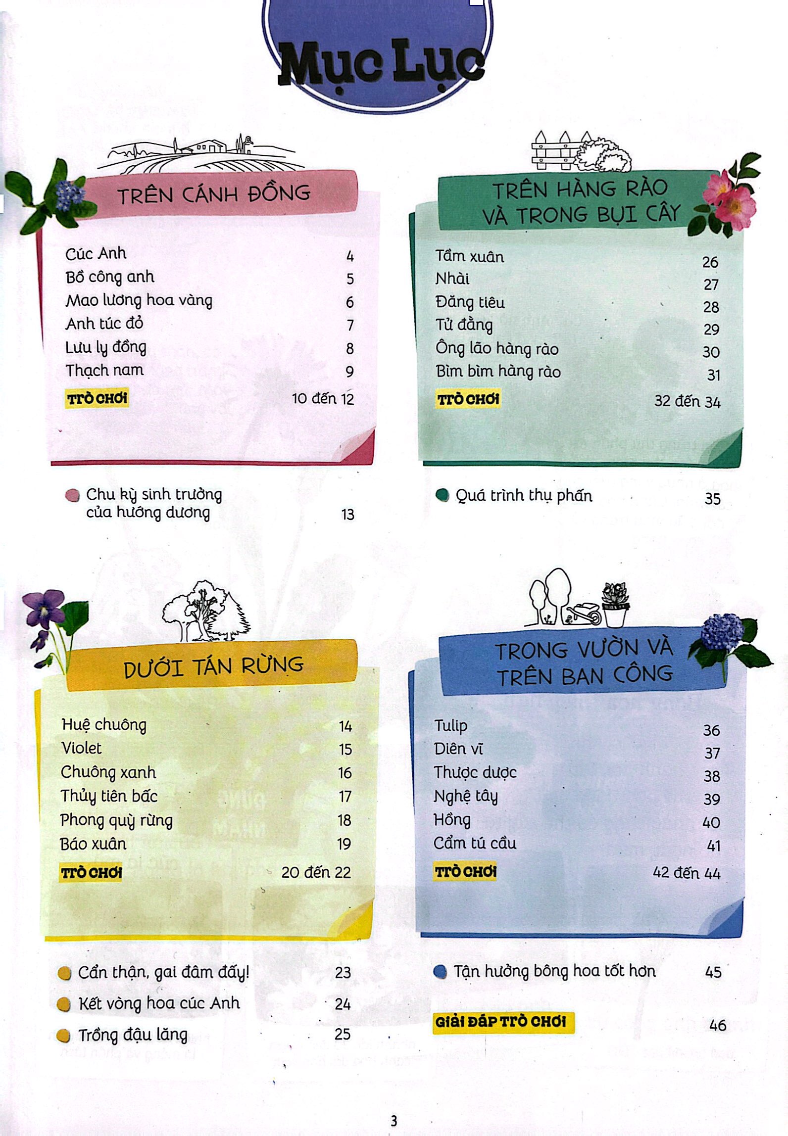 thiên nhiên muôn màu - stem - em nhận biết các loài hoa - Ảnh 5