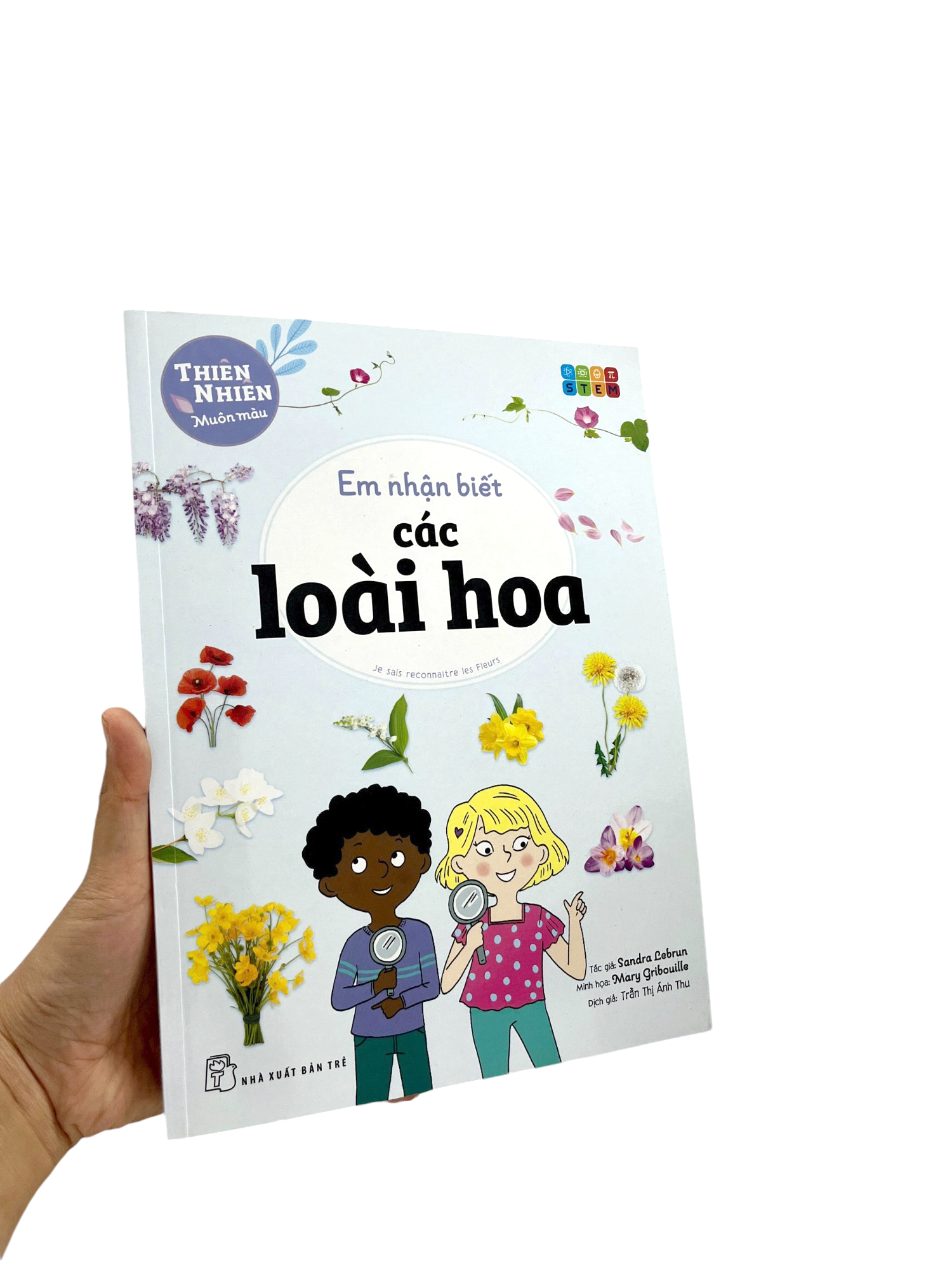 thiên nhiên muôn màu - stem - em nhận biết các loài hoa - Ảnh 9