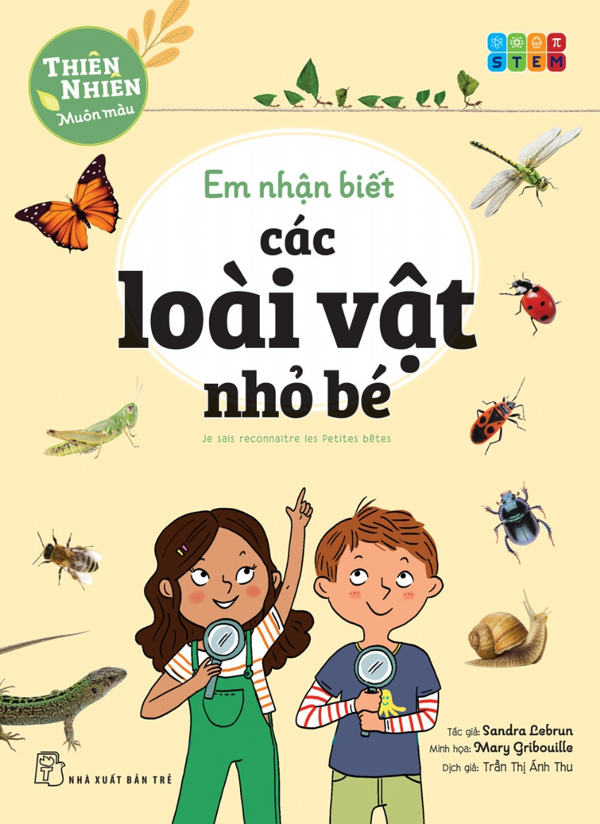 thiên nhiên muôn màu - stem - em nhận biết các loài vật nhỏ bé - Ảnh 2
