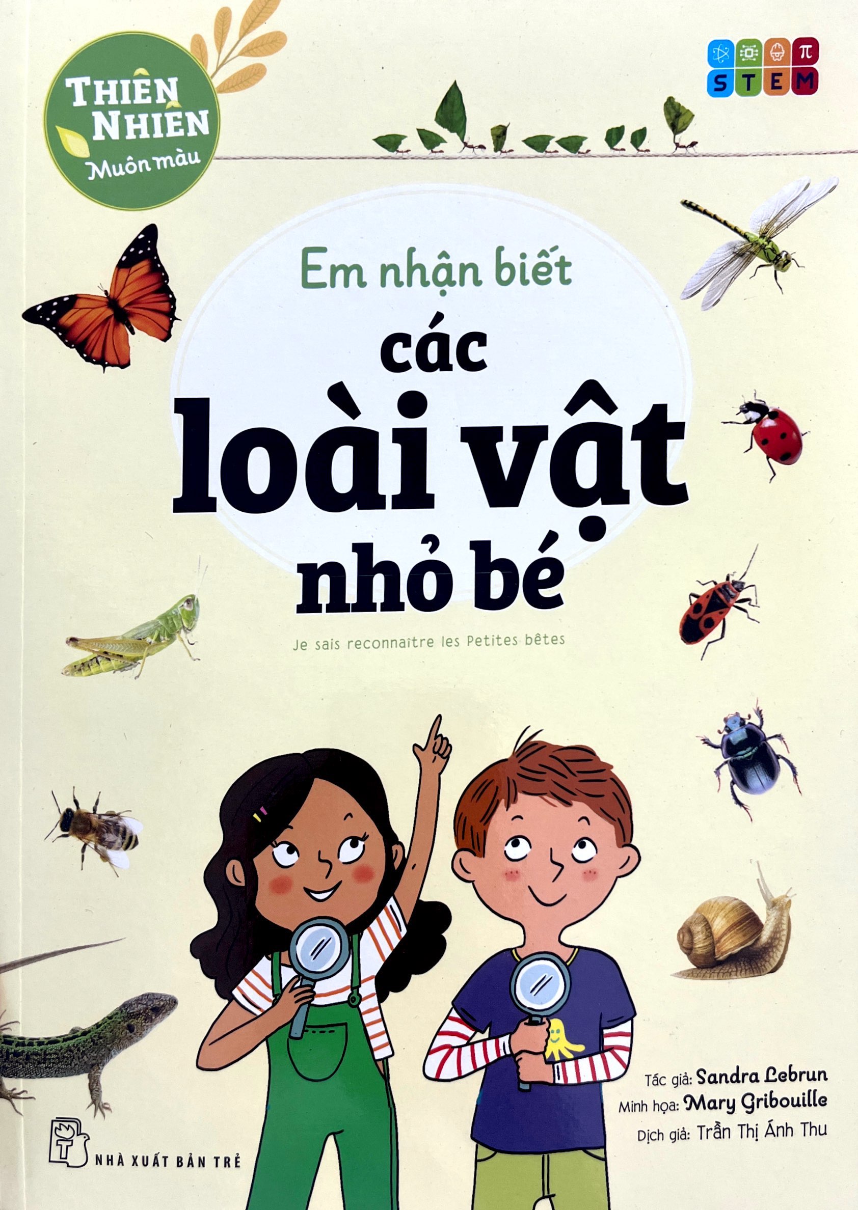 thiên nhiên muôn màu - stem - em nhận biết các loài vật nhỏ bé - Ảnh 3