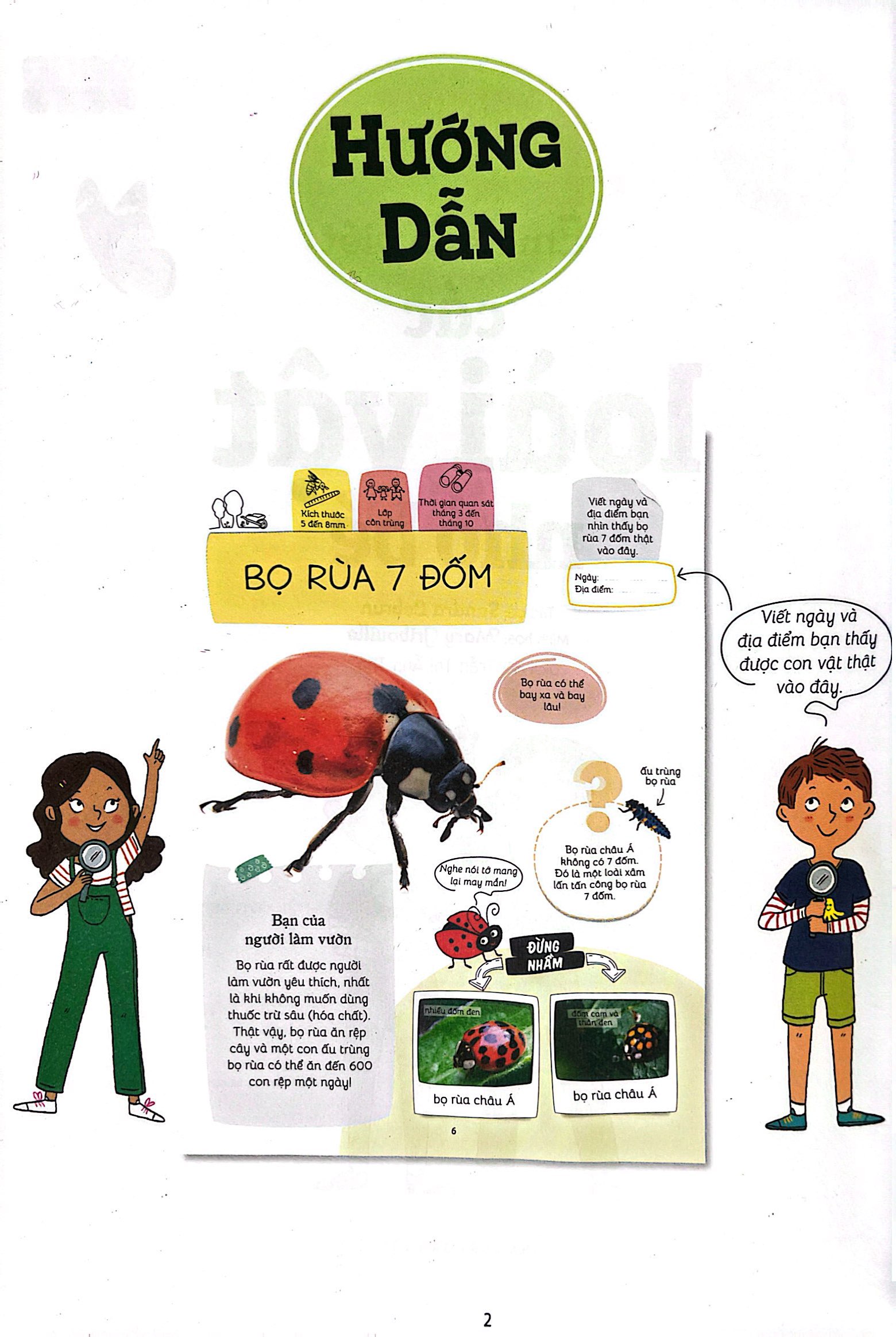 thiên nhiên muôn màu - stem - em nhận biết các loài vật nhỏ bé - Ảnh 4