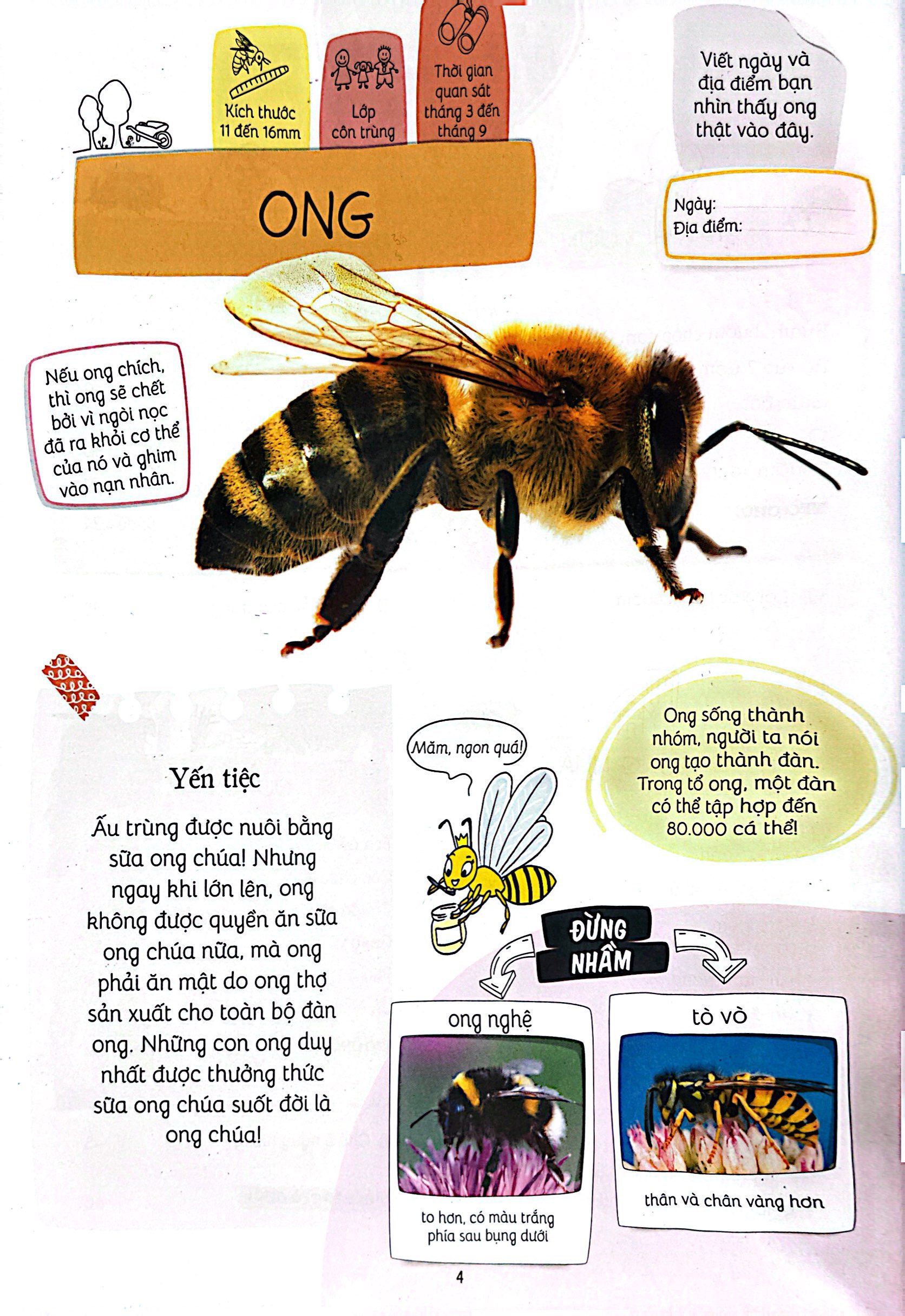 thiên nhiên muôn màu - stem - em nhận biết các loài vật nhỏ bé - Ảnh 6