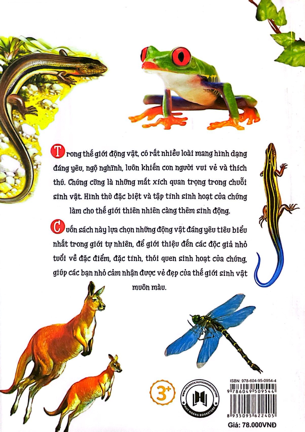 thiên nhiên - những bí mật còn ẩn giấu - động vật đáng yêu - Ảnh 8