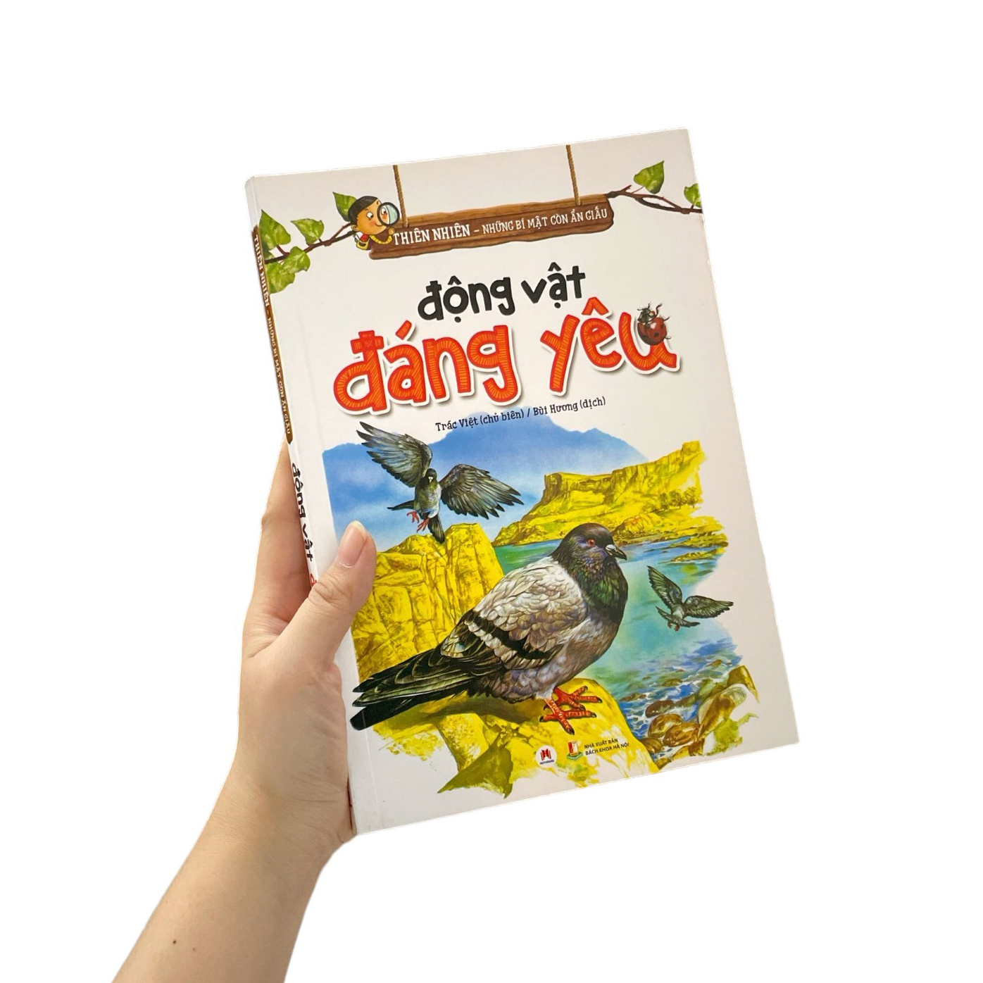 thiên nhiên - những bí mật còn ẩn giấu - động vật đáng yêu - Ảnh 9