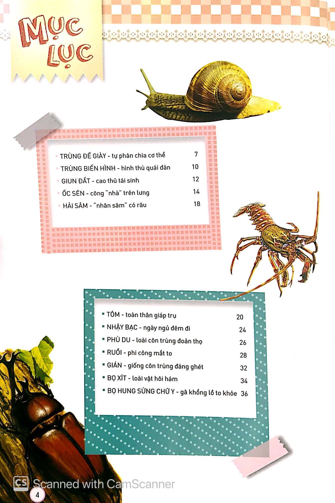 thiên nhiên - những bí mật con ân giấu - động vật kỳ quặc - Ảnh 3