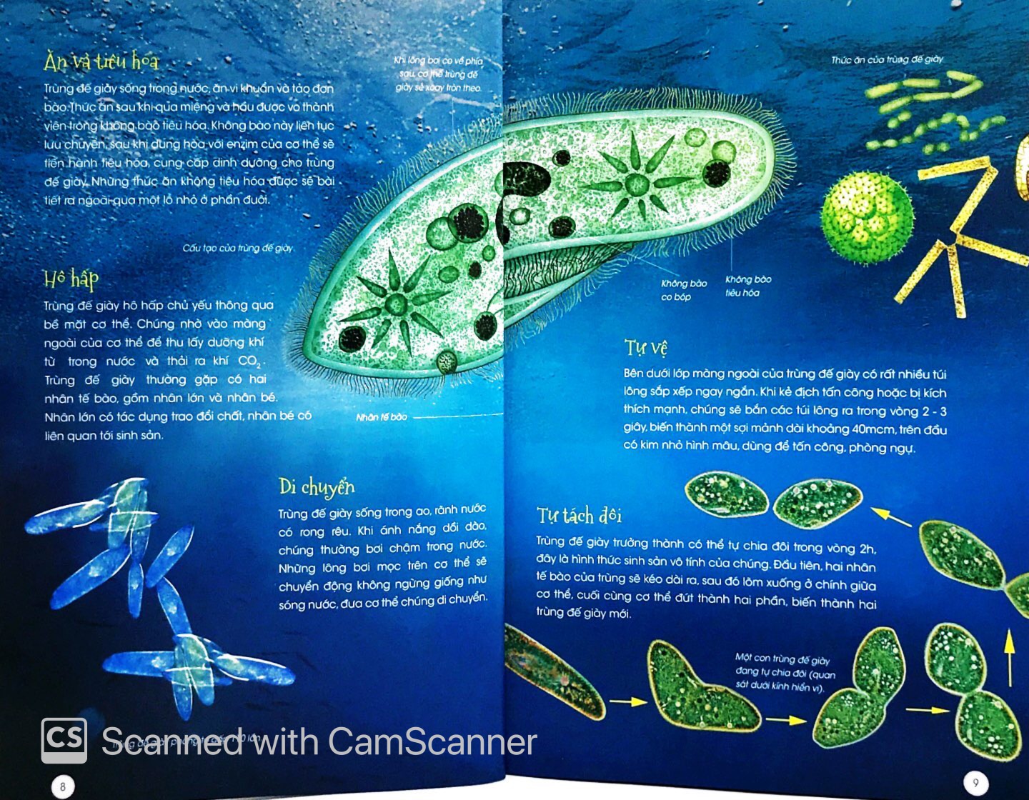 thiên nhiên - những bí mật con ân giấu - động vật kỳ quặc - Ảnh 5