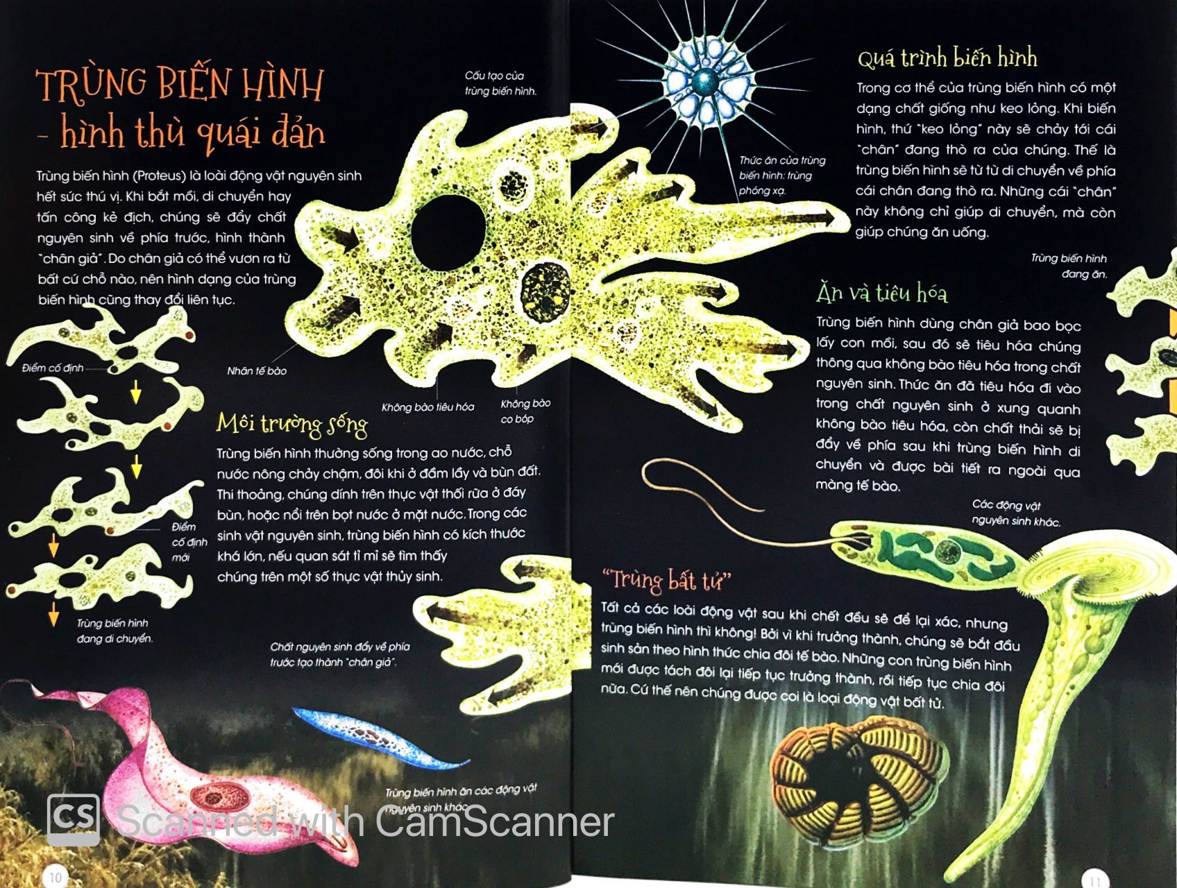 thiên nhiên - những bí mật con ân giấu - động vật kỳ quặc - Ảnh 6