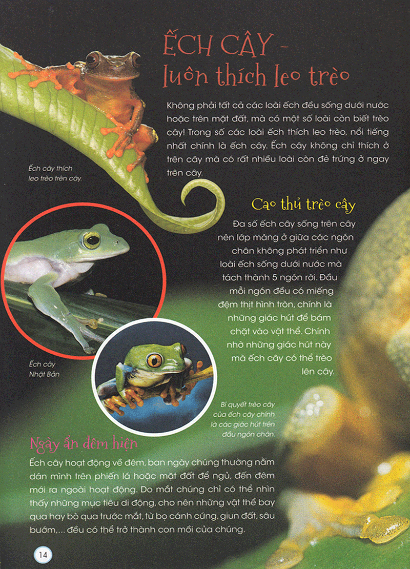 thiên nhiên - những bí mật còn ẩn giấu - động vật quý hiếm - Ảnh 13