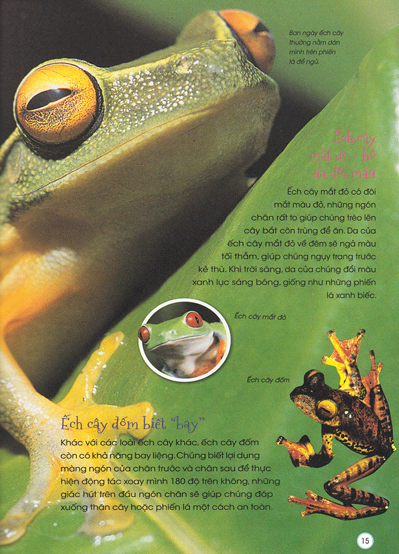 thiên nhiên - những bí mật còn ẩn giấu - động vật quý hiếm - Ảnh 14