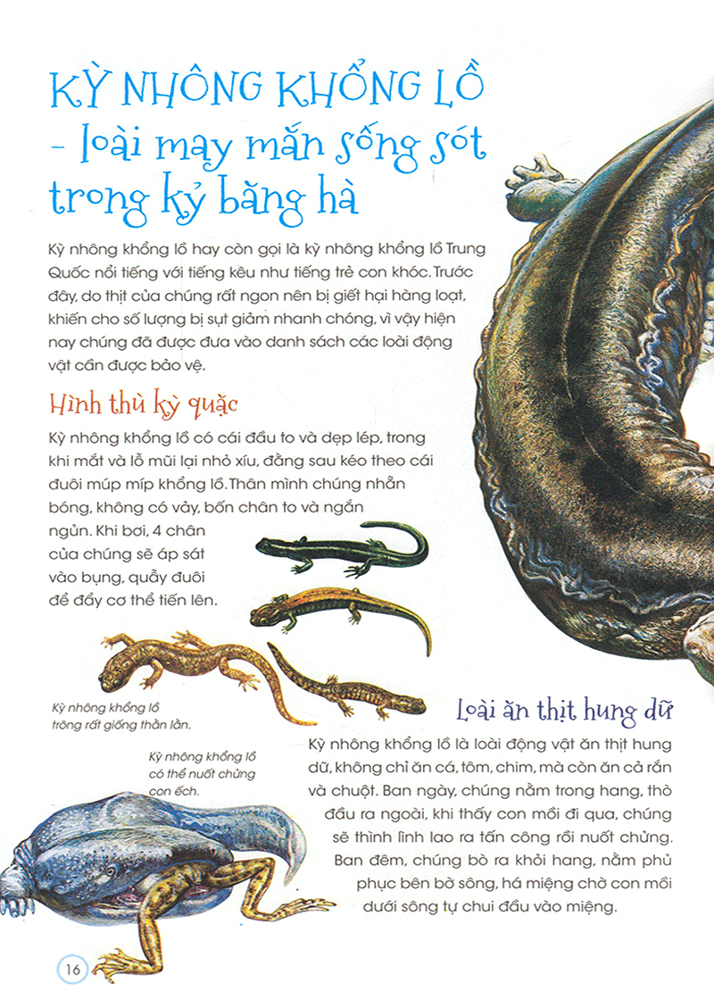 thiên nhiên - những bí mật còn ẩn giấu - động vật quý hiếm - Ảnh 15