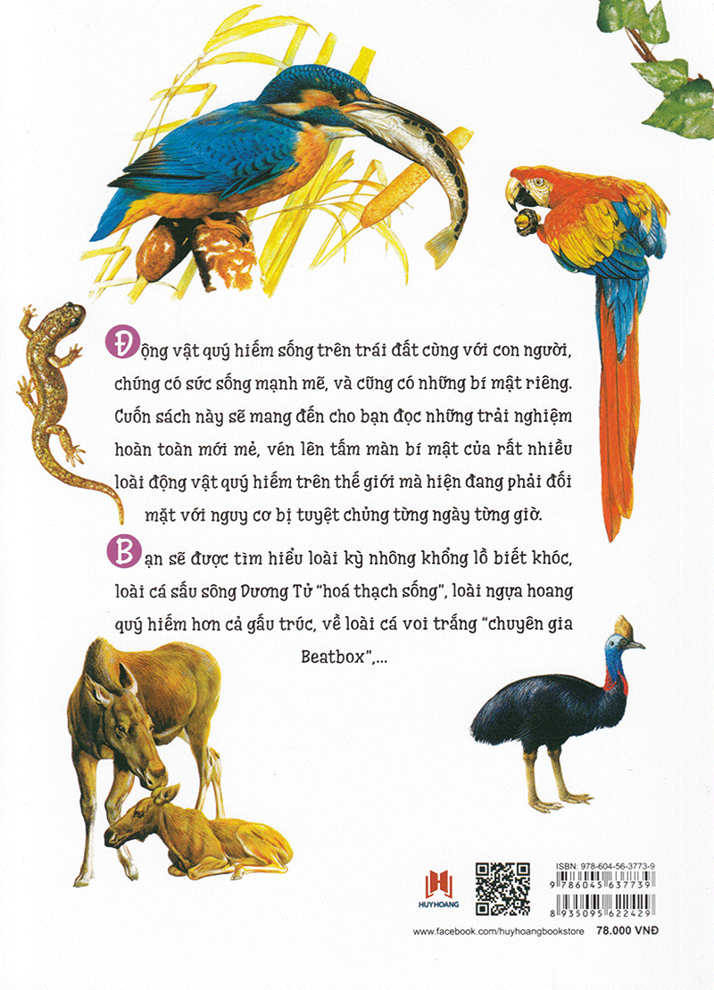 thiên nhiên - những bí mật còn ẩn giấu - động vật quý hiếm - Ảnh 16