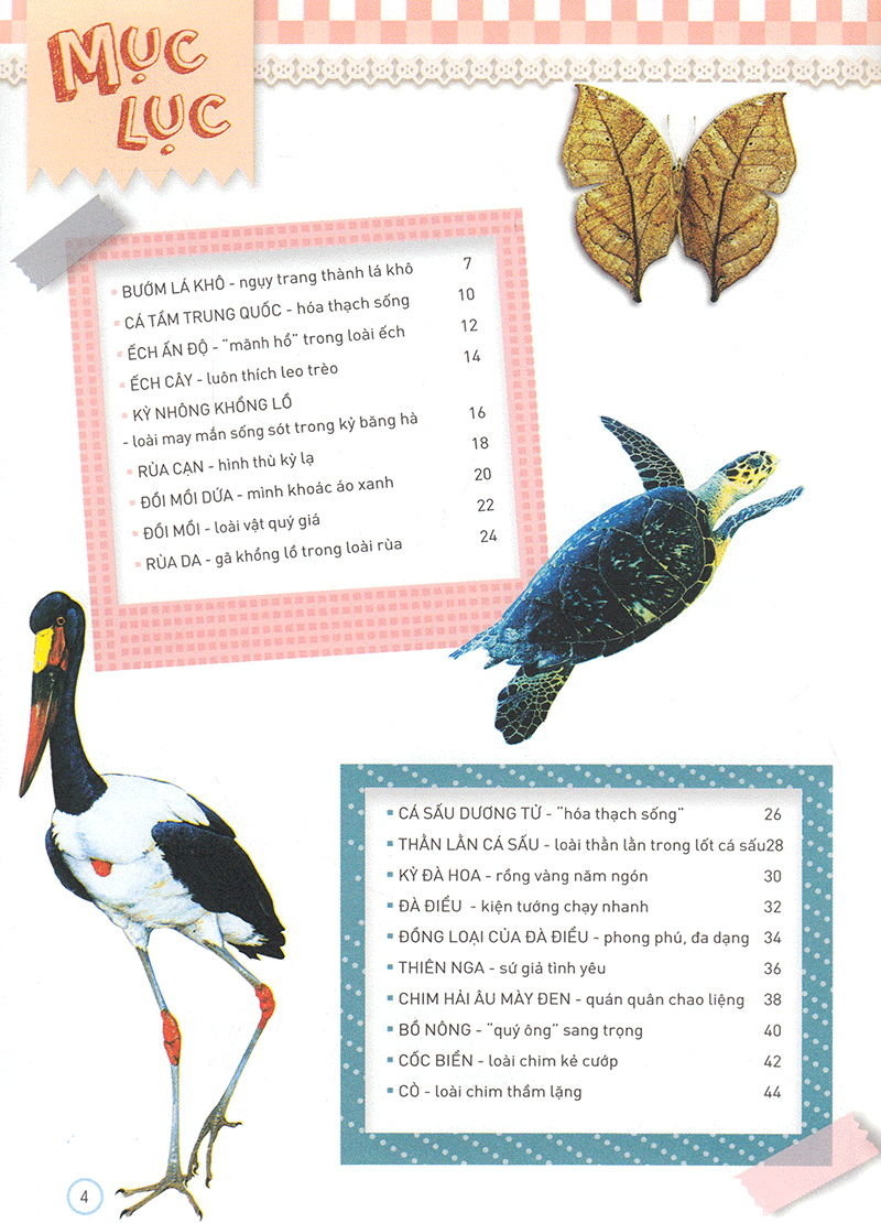 thiên nhiên - những bí mật còn ẩn giấu - động vật quý hiếm - Ảnh 3