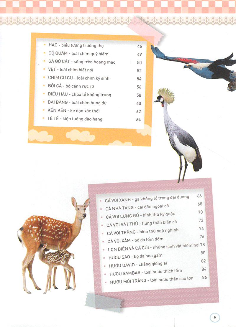 thiên nhiên - những bí mật còn ẩn giấu - động vật quý hiếm - Ảnh 4