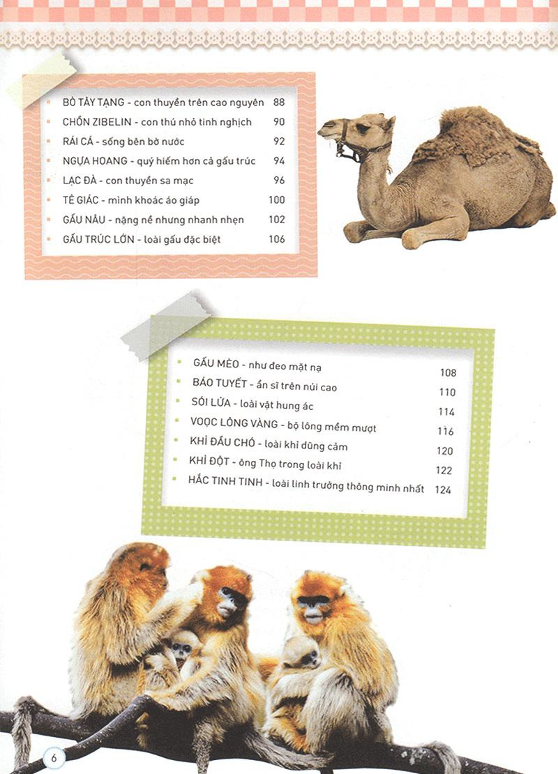 thiên nhiên - những bí mật còn ẩn giấu - động vật quý hiếm - Ảnh 5