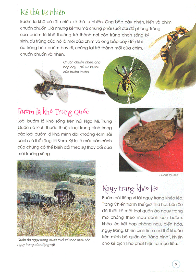 thiên nhiên - những bí mật còn ẩn giấu - động vật quý hiếm - Ảnh 8