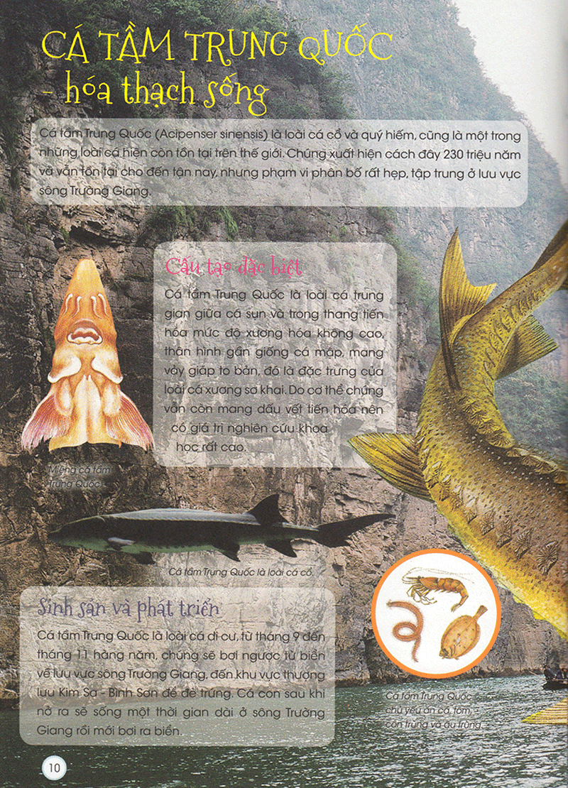 thiên nhiên - những bí mật còn ẩn giấu - động vật quý hiếm - Ảnh 9