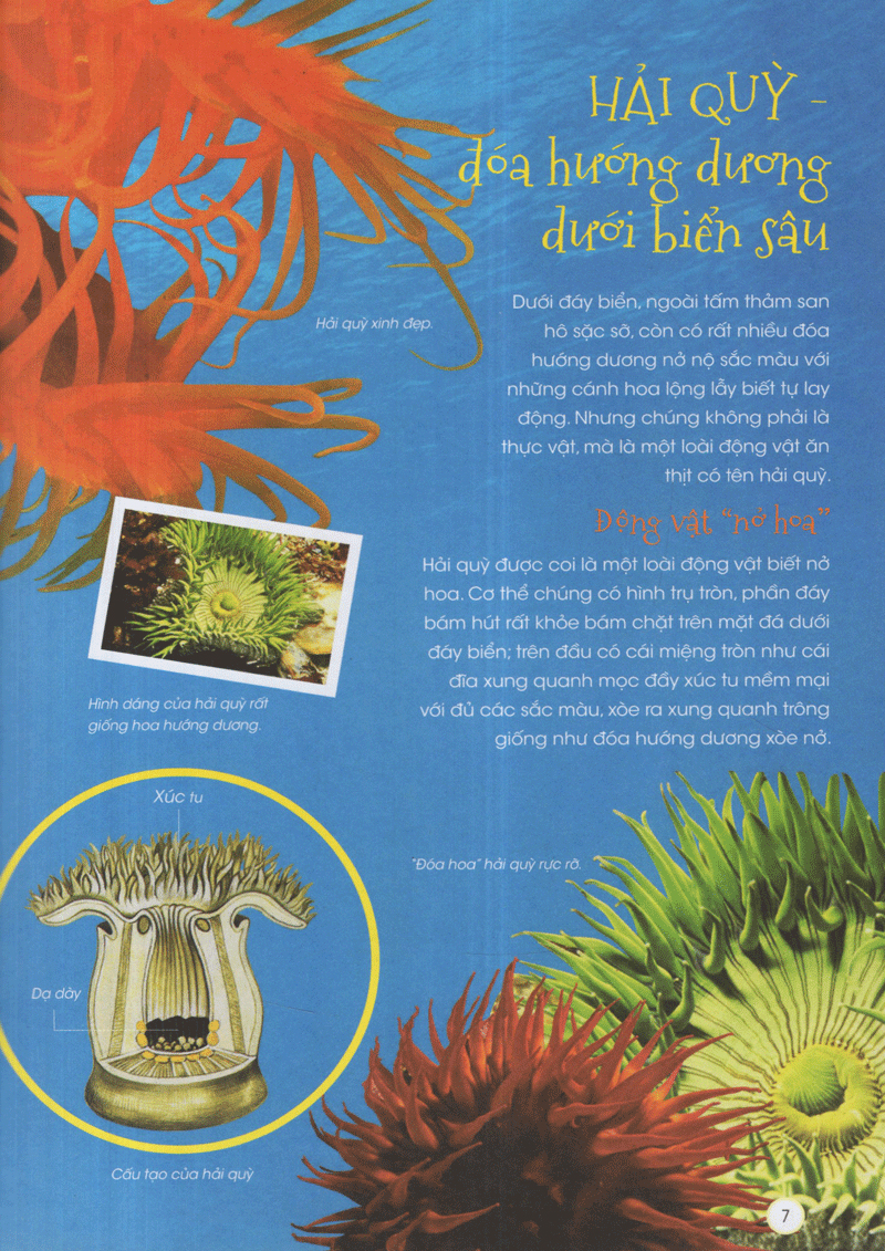 thiên nhiên - những bí mật còn ẩn giấu - động vật xinh đẹp - Ảnh 3