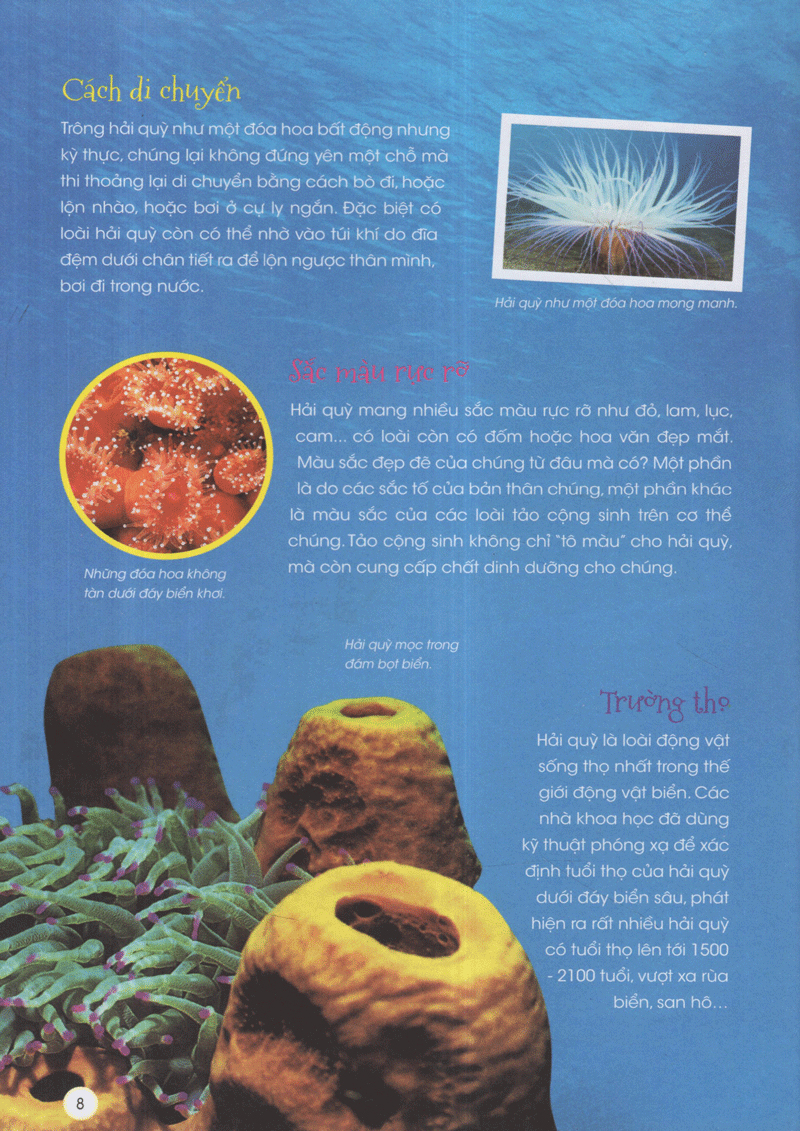 thiên nhiên - những bí mật còn ẩn giấu - động vật xinh đẹp - Ảnh 4