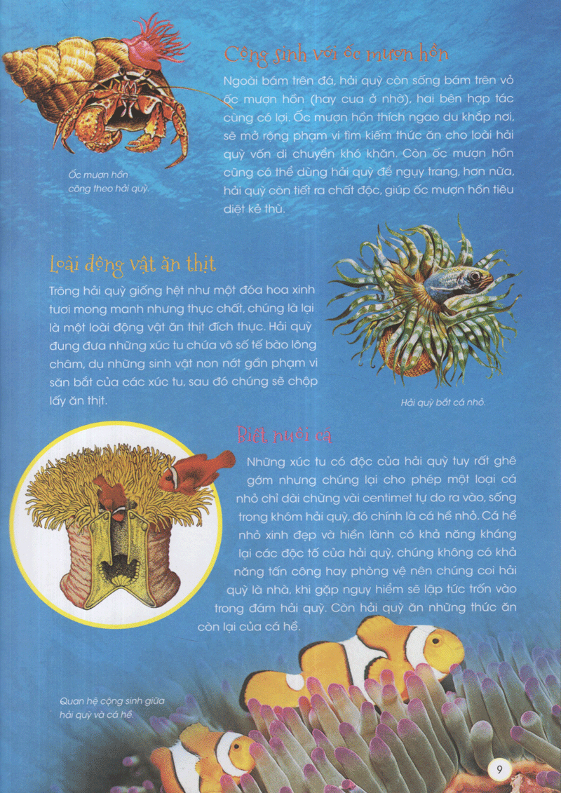 thiên nhiên - những bí mật còn ẩn giấu - động vật xinh đẹp - Ảnh 5