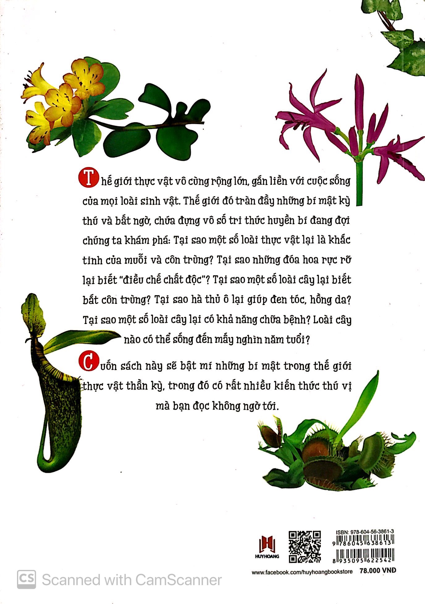 thiên nhiên - những bí mật còn ẩn giấu - thực vật thần kỳ - Ảnh 11