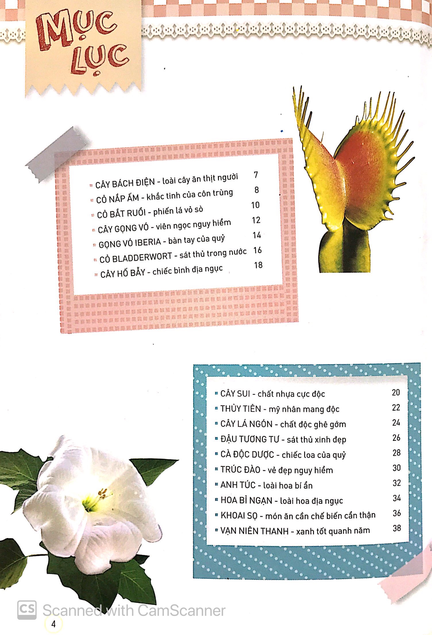 thiên nhiên - những bí mật còn ẩn giấu - thực vật thần kỳ - Ảnh 3