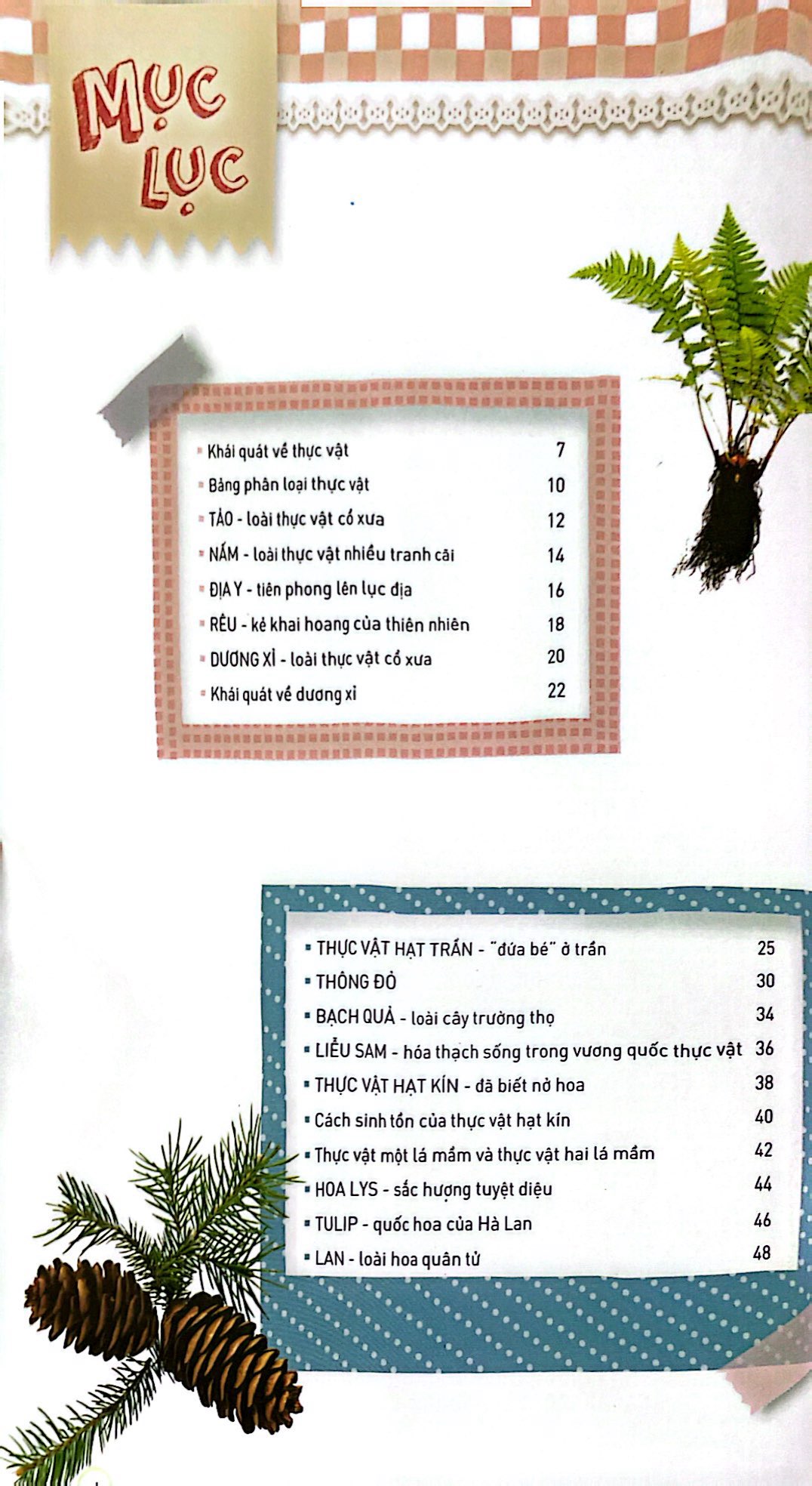 thiên nhiên - những bí mật còn ẩn giấu - thực vật xinh đẹp - Ảnh 3