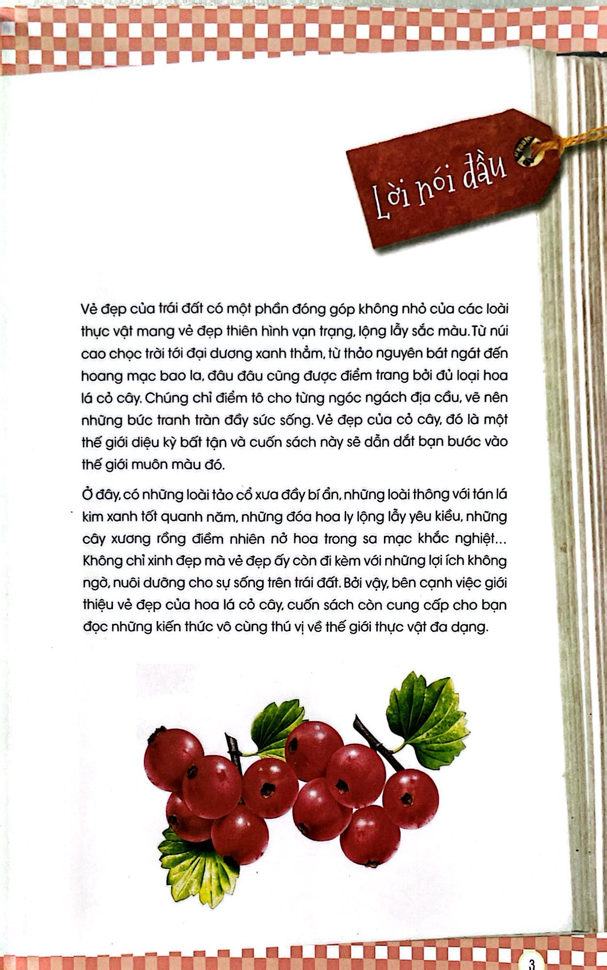 thiên nhiên - những bí mật còn ẩn giấu - thực vật xinh đẹp - Ảnh 4