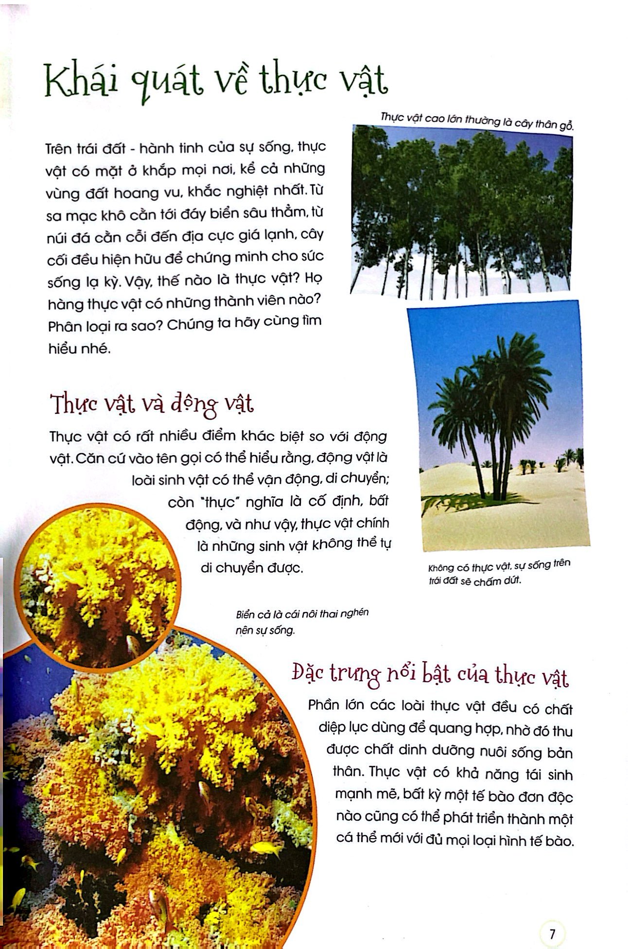 thiên nhiên - những bí mật còn ẩn giấu - thực vật xinh đẹp - Ảnh 5