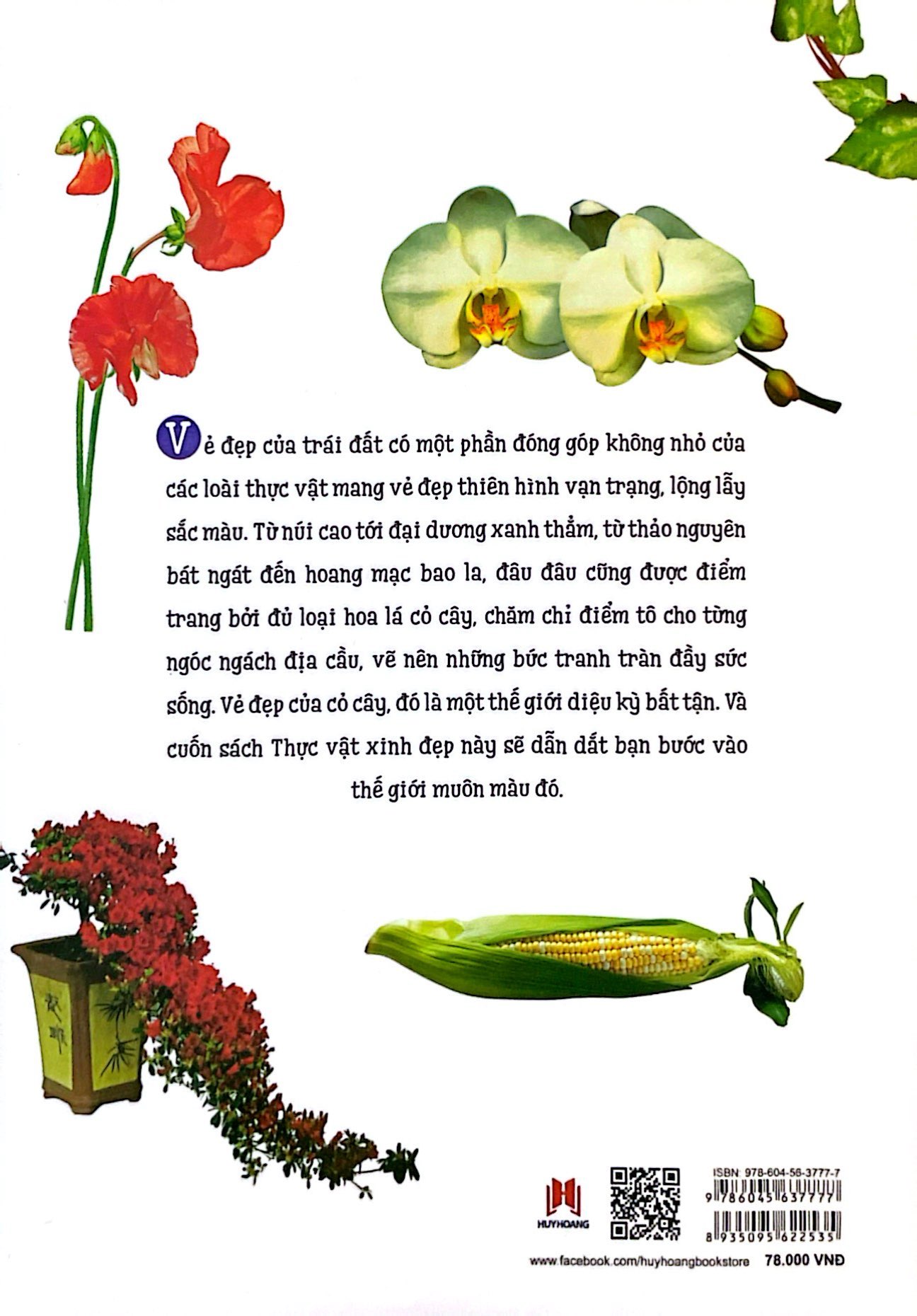 thiên nhiên - những bí mật còn ẩn giấu - thực vật xinh đẹp - Ảnh 7