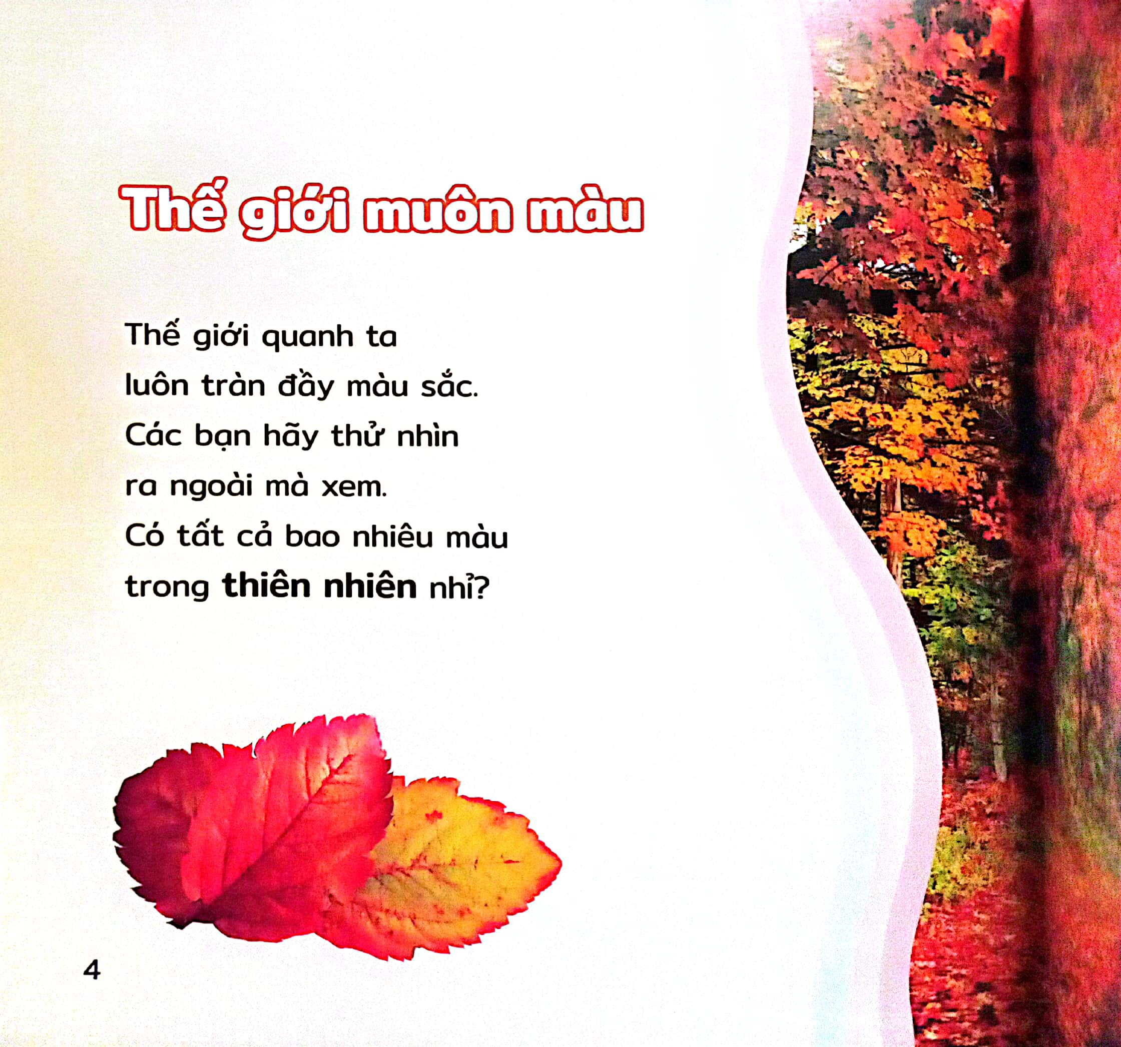 thiên nhiên quanh bé - sắc màu thiên nhiên - Ảnh 4