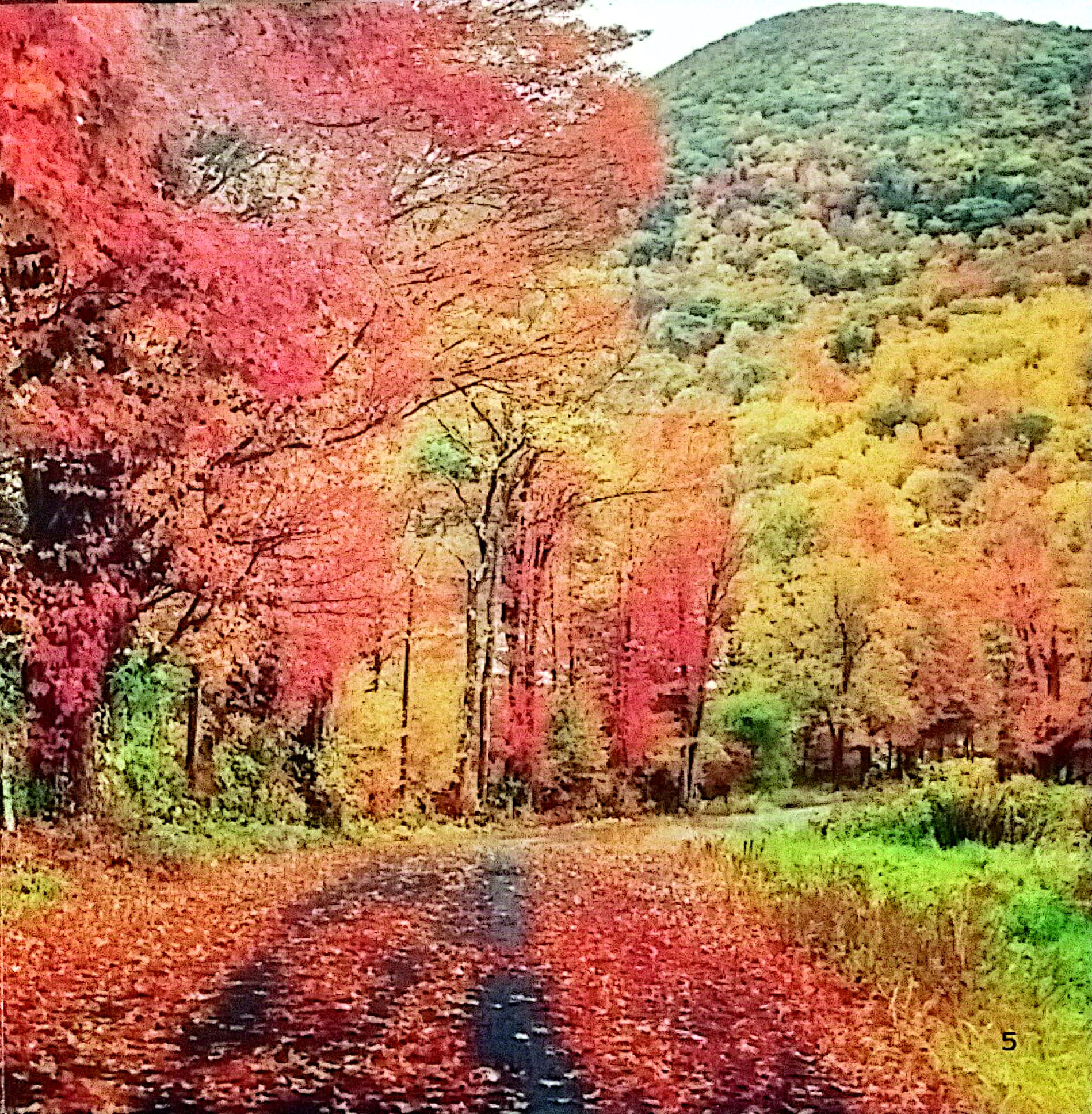 thiên nhiên quanh bé - sắc màu thiên nhiên - Ảnh 5