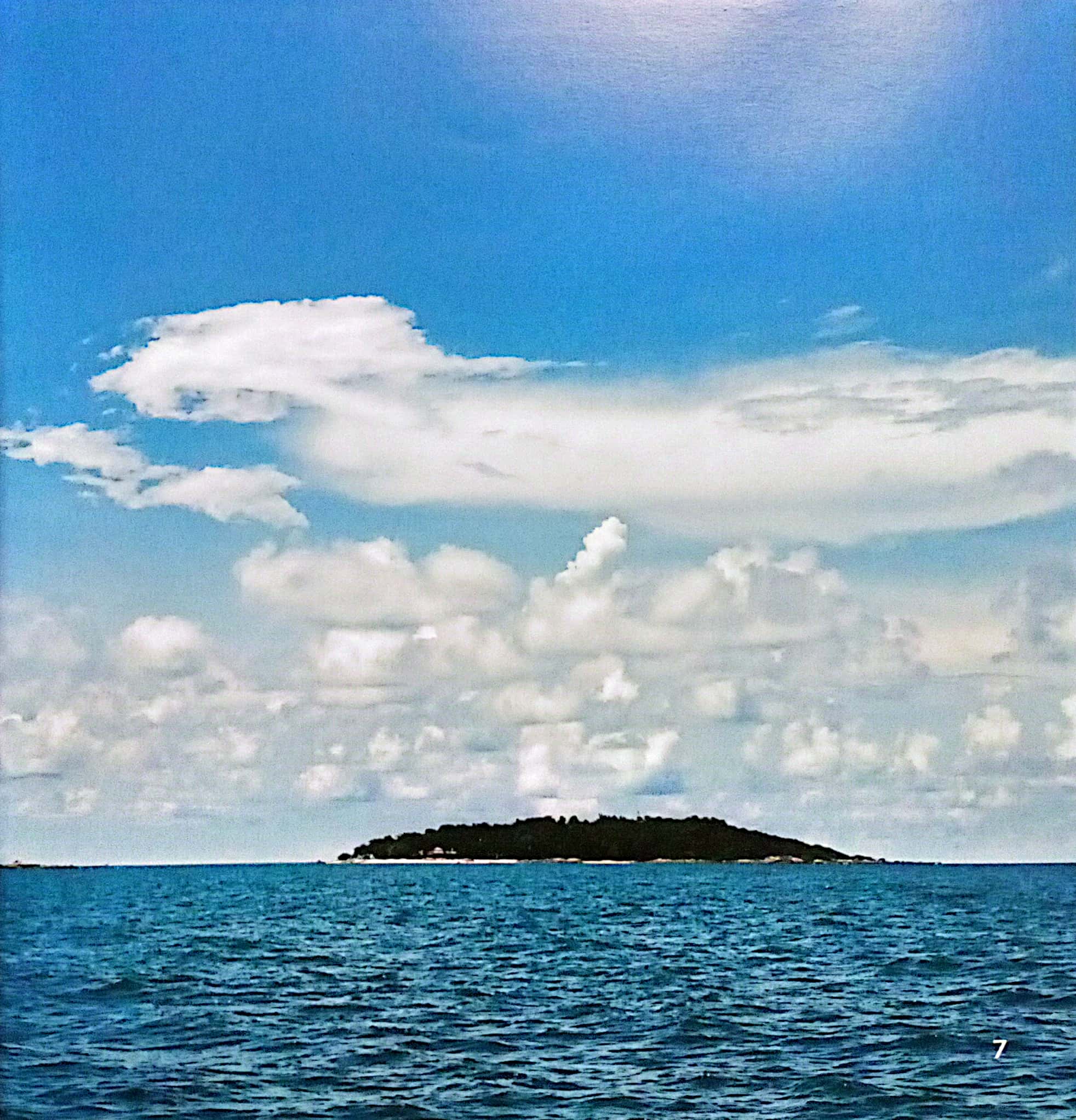 thiên nhiên quanh bé - sắc màu thiên nhiên - Ảnh 7