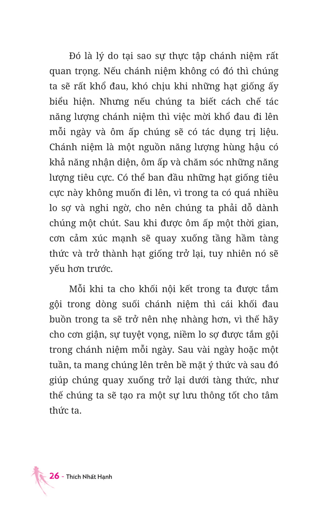 thiền sư và em bé 5 tuổi - Ảnh 13