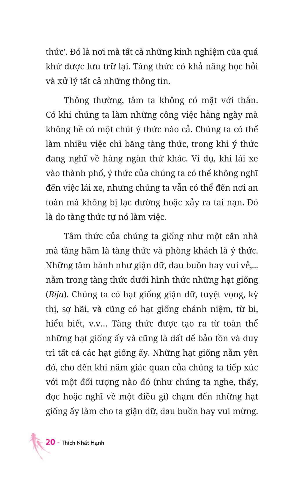thiền sư và em bé 5 tuổi - Ảnh 7