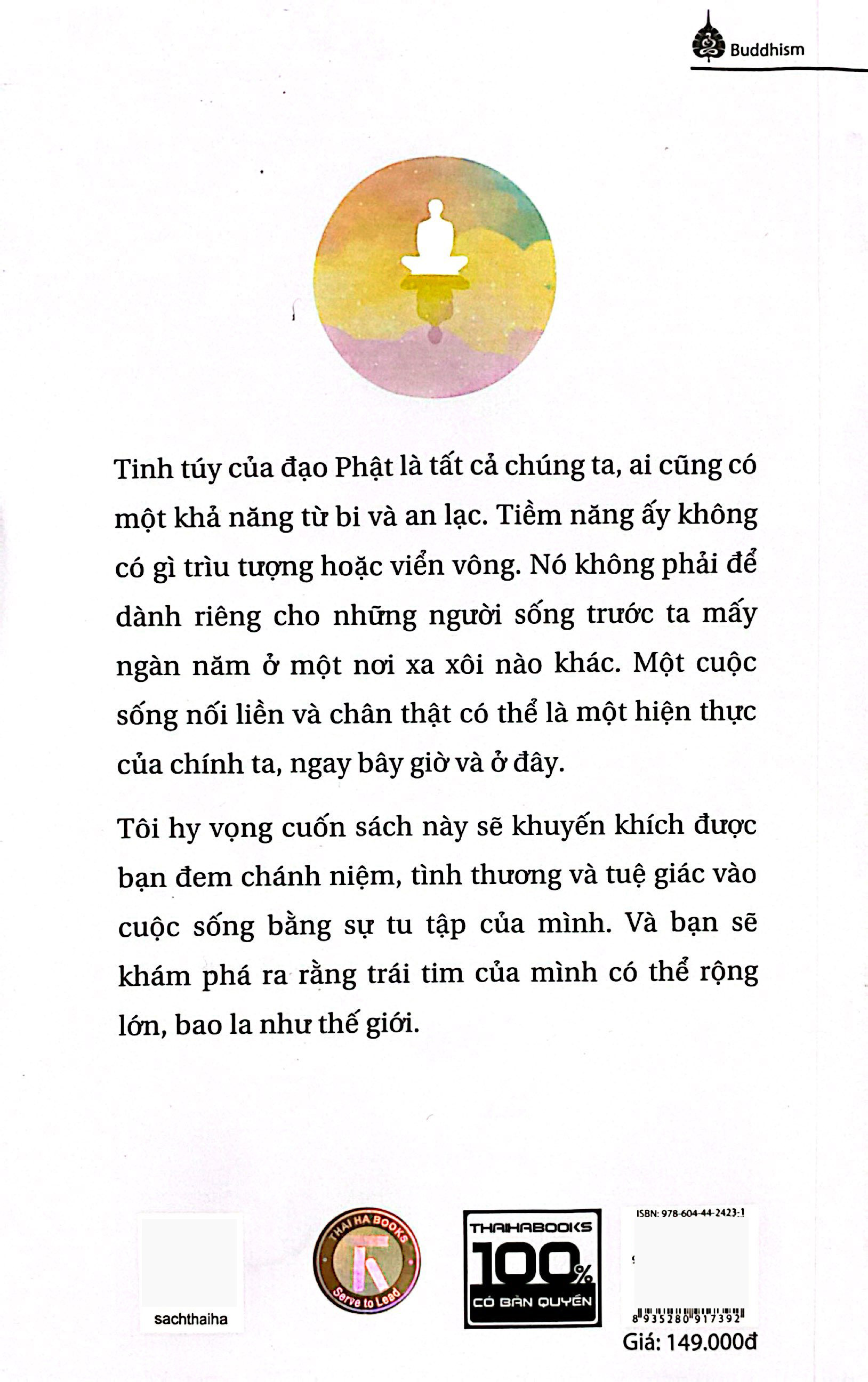 thiền tập - con đường dẫn tới tuệ giác và tâm từ - Ảnh 21