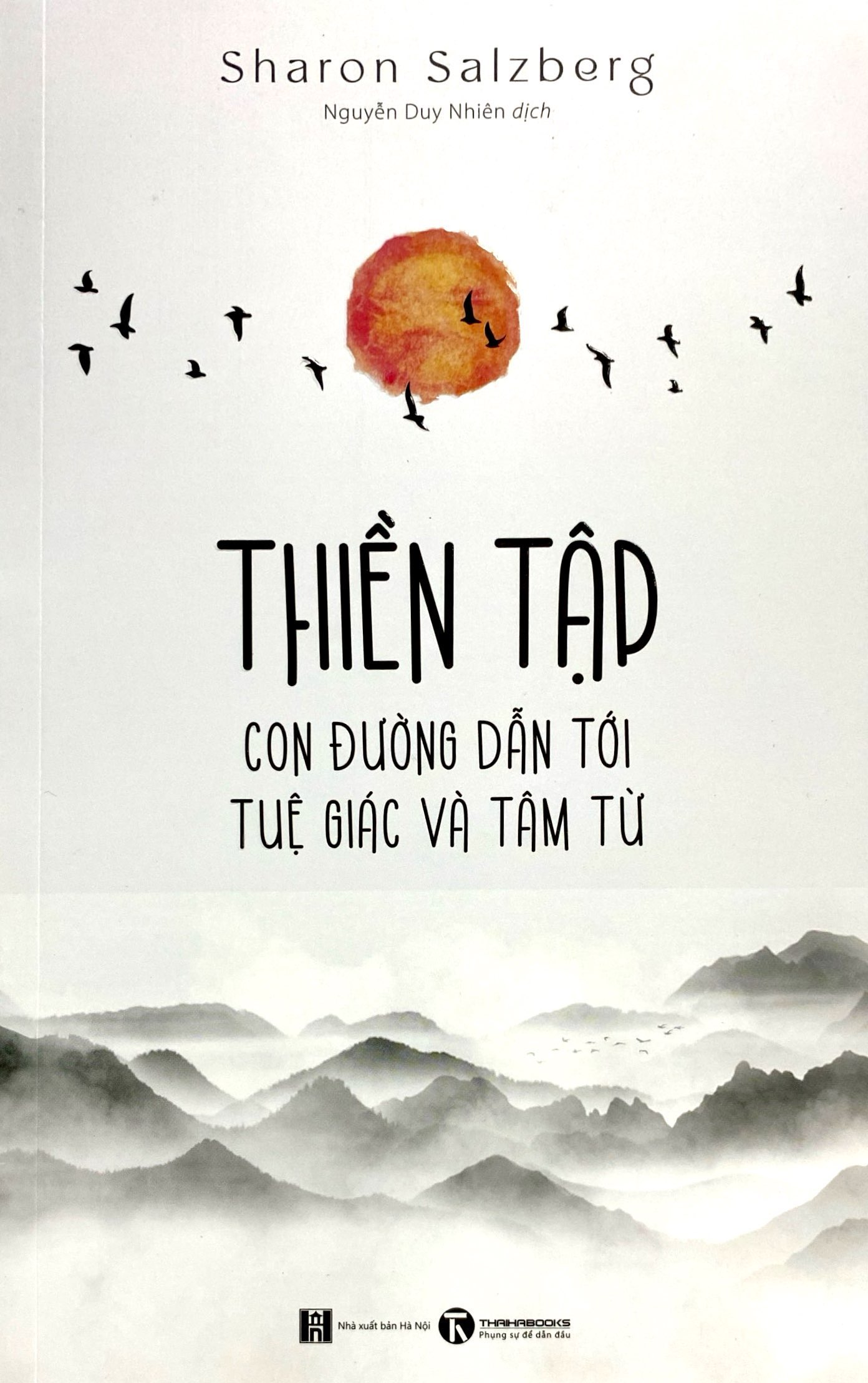 thiền tập - con đường dẫn tới tuệ giác và tâm từ - Ảnh 3