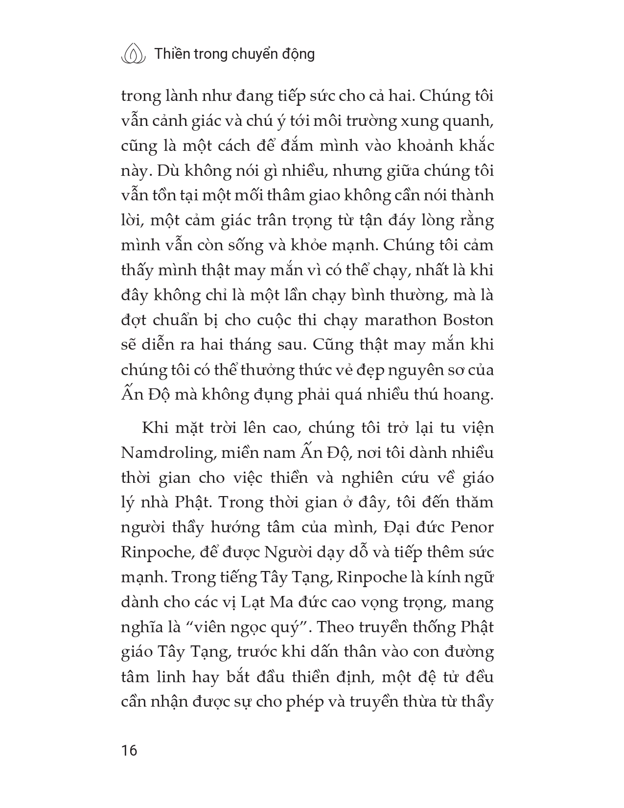 thiền trong chuyển động - Ảnh 16