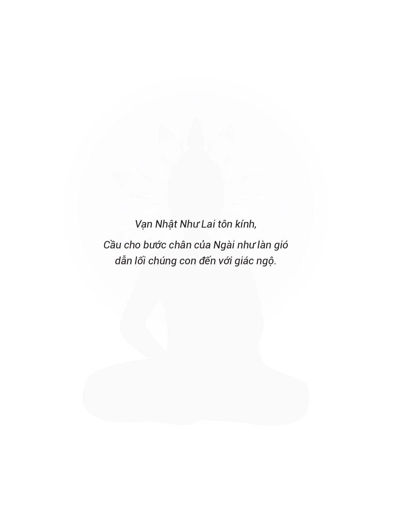 thiền trong chuyển động - Ảnh 9