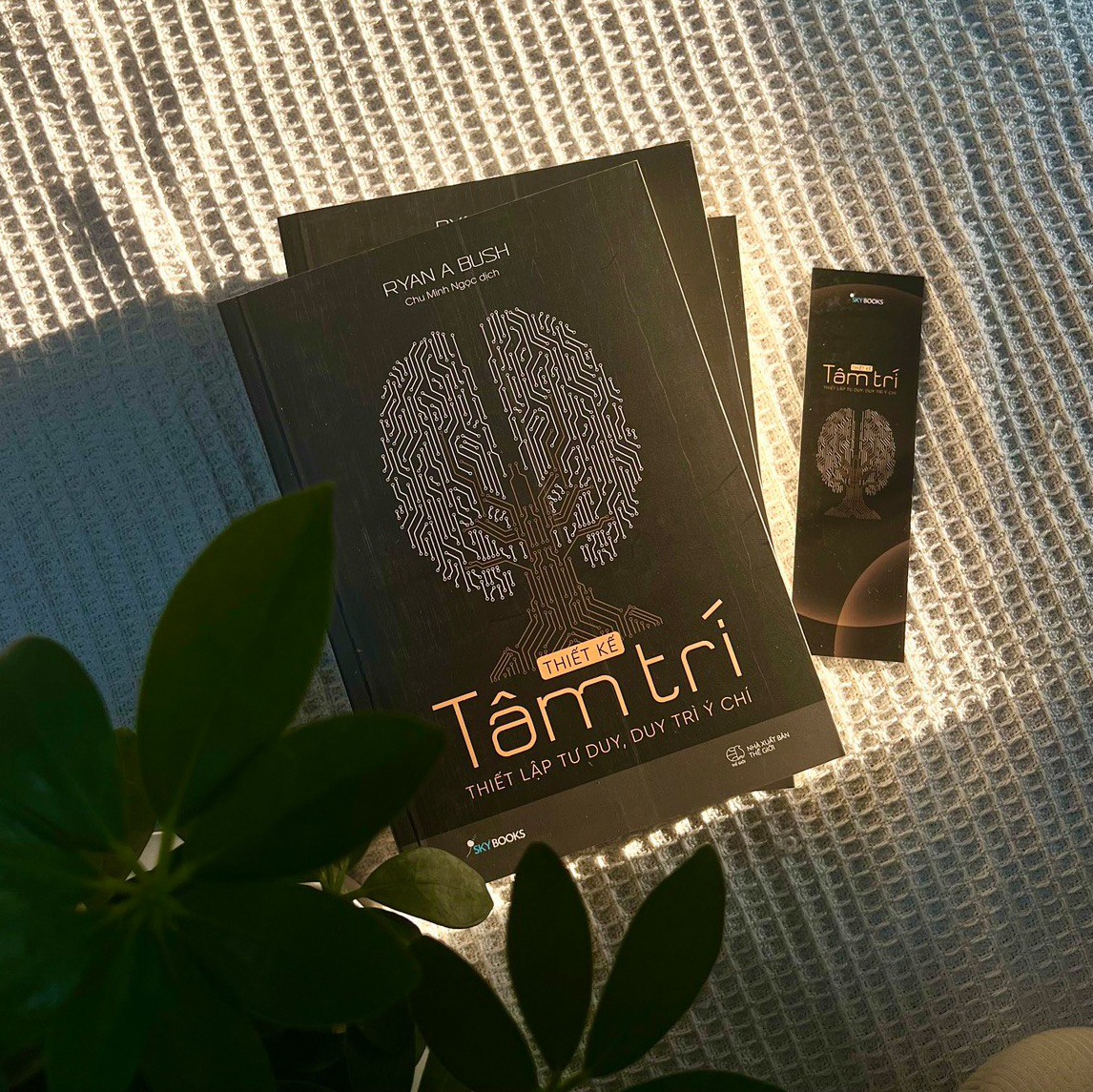 thiết kế tâm trí - thiết lập tư duy, duy trì ý chí - Ảnh 4