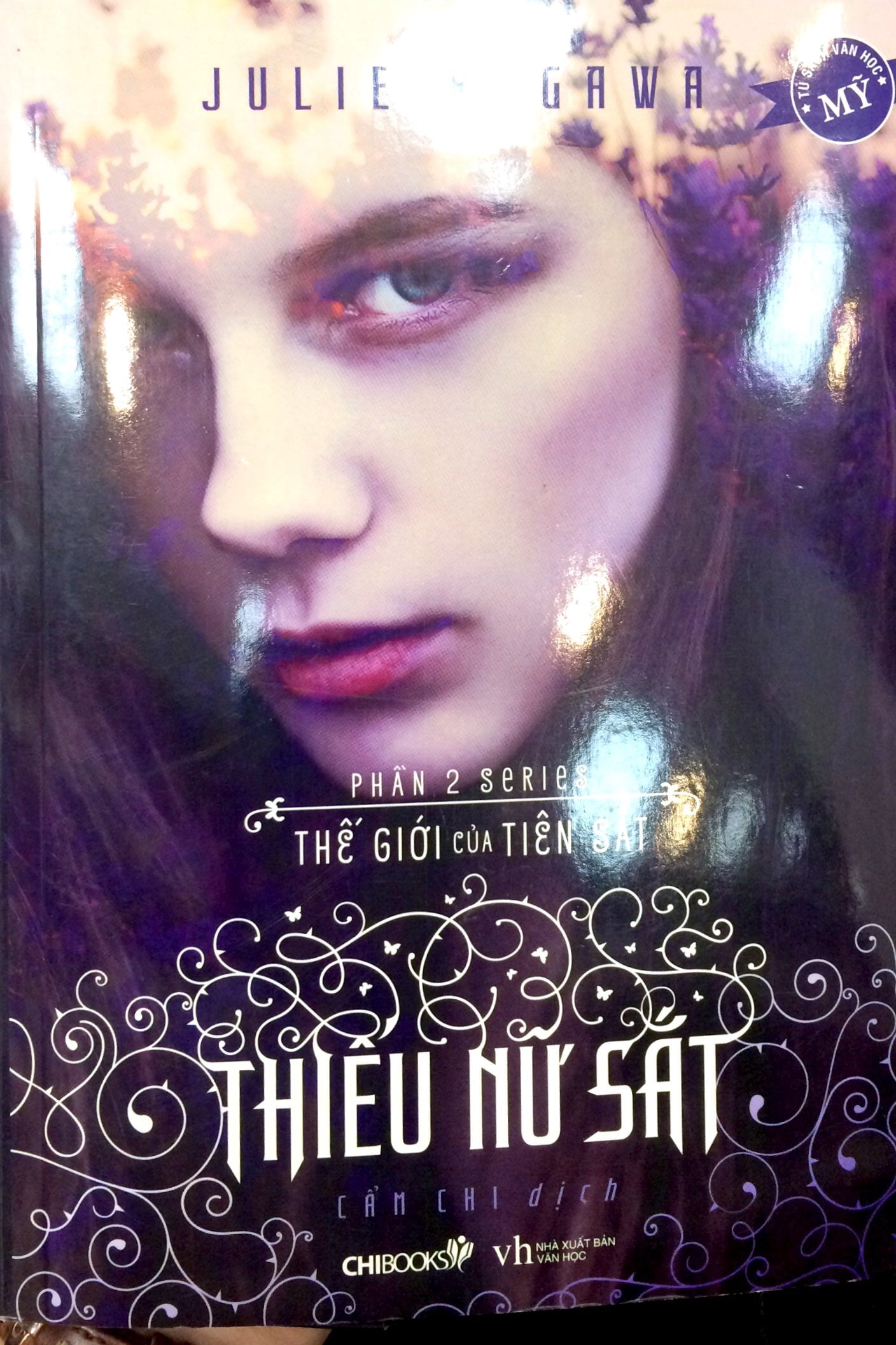 thiếu nữ sắt - phần 2 - thế giới của tiên sắt - Ảnh 3