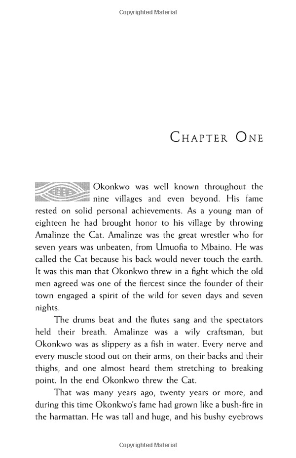 things fall apart - Ảnh 7