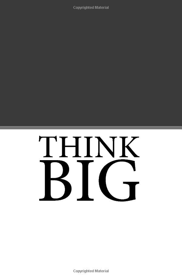 think big - Ảnh 4