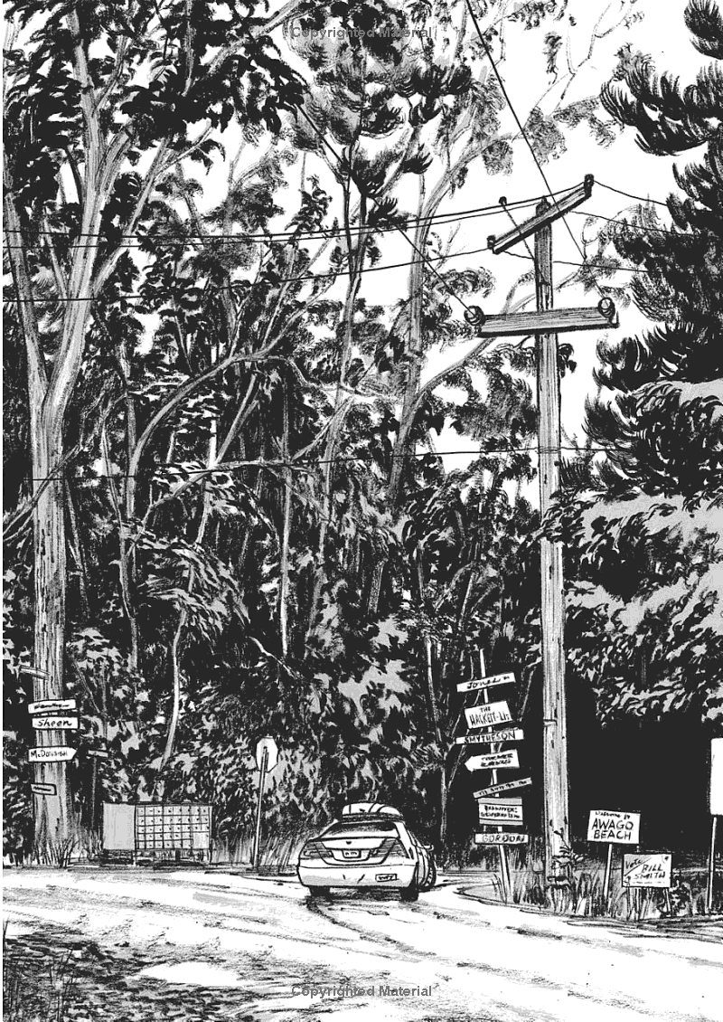 this one summer - Ảnh 13