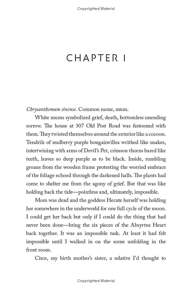 this wicked fate - Ảnh 4